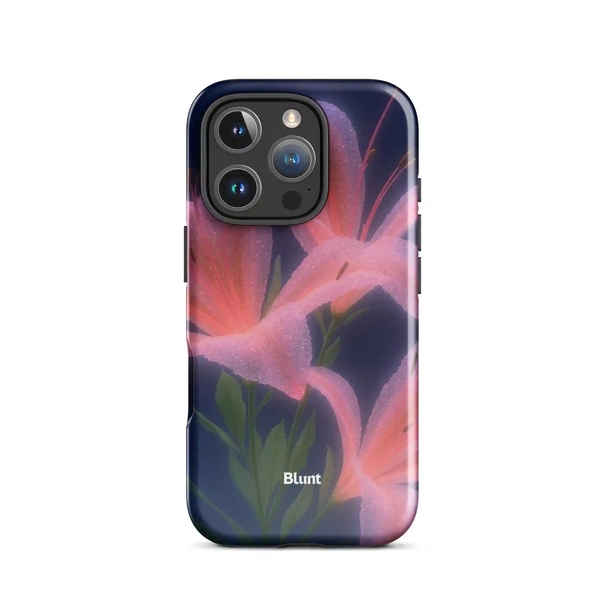 bluntcasesus.it.com