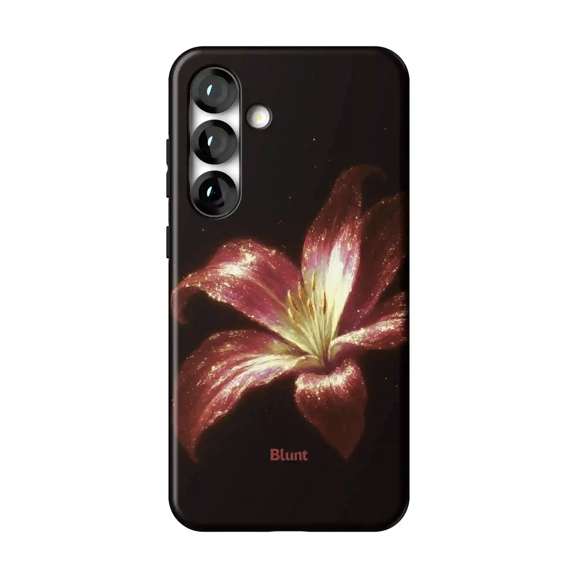 bluntcasesus.it.com