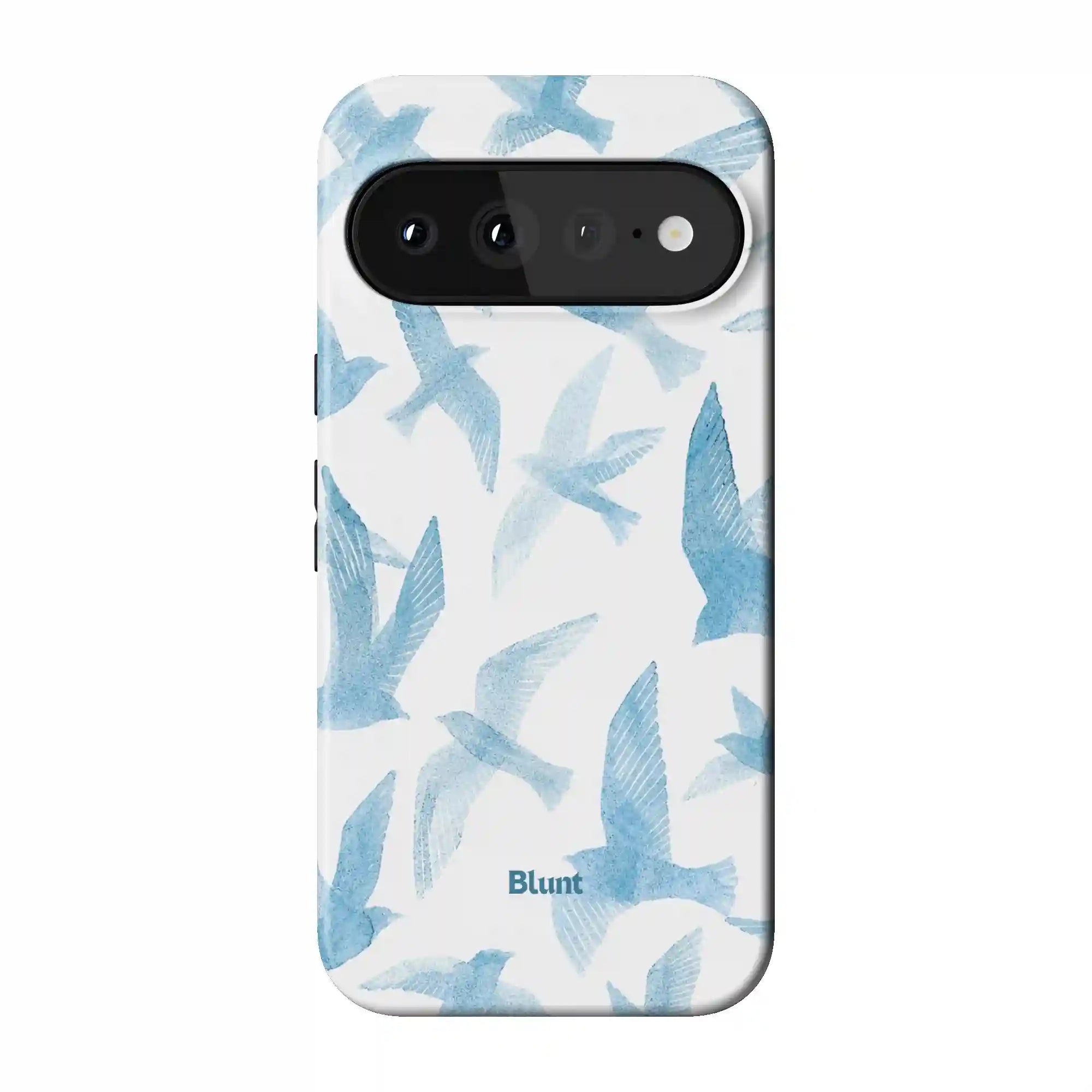 bluntcasesus.it.com