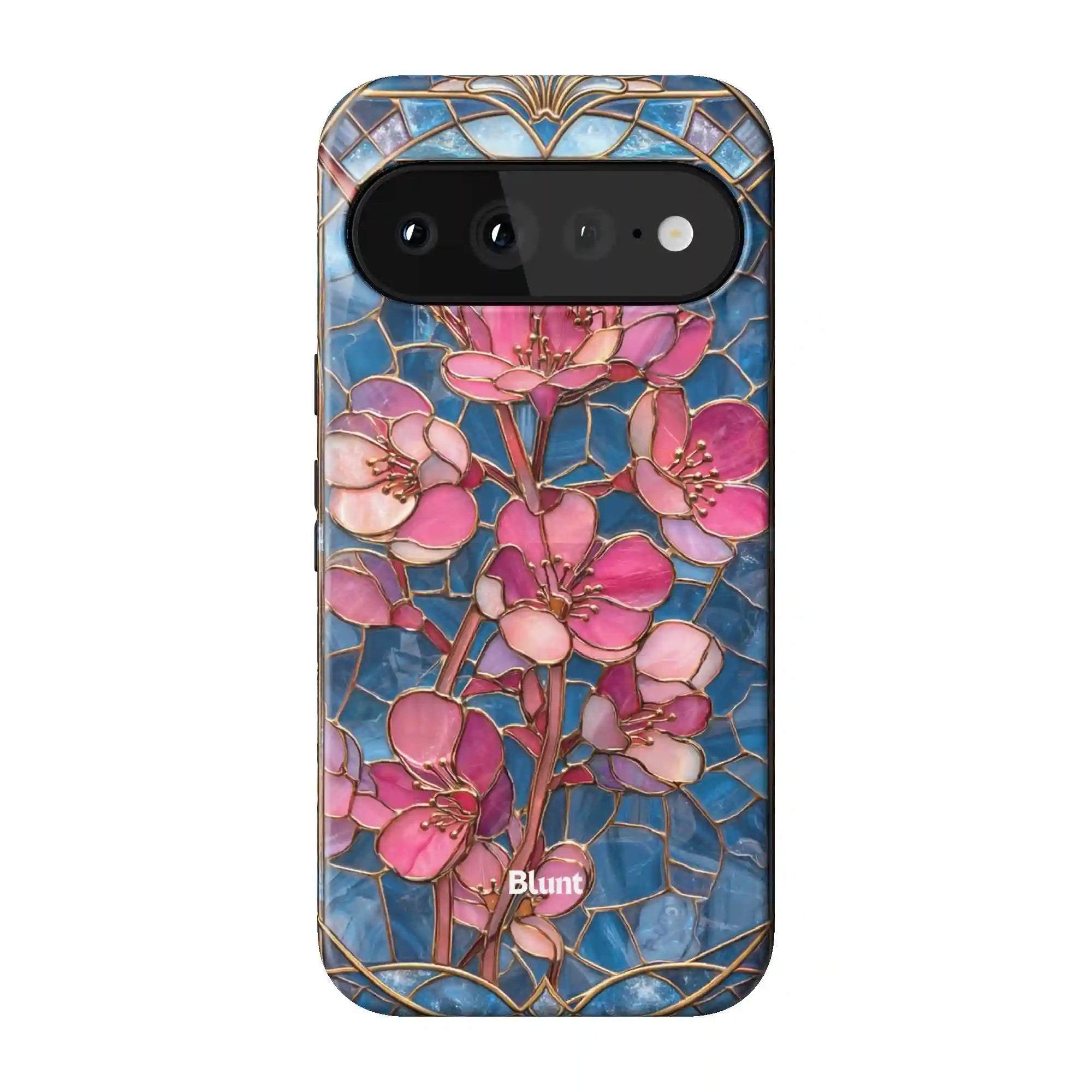 bluntcasesus.it.com