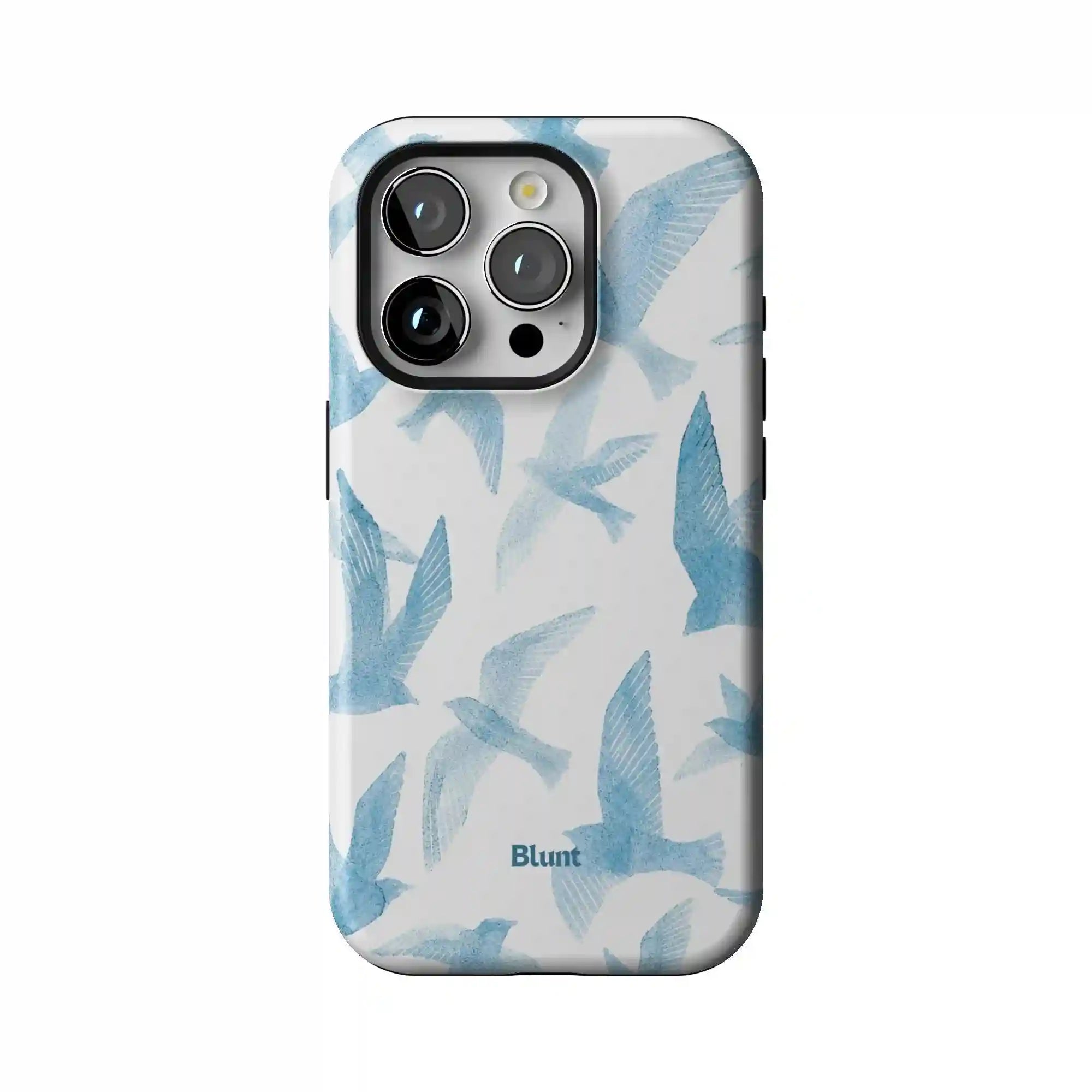 bluntcasesus.it.com