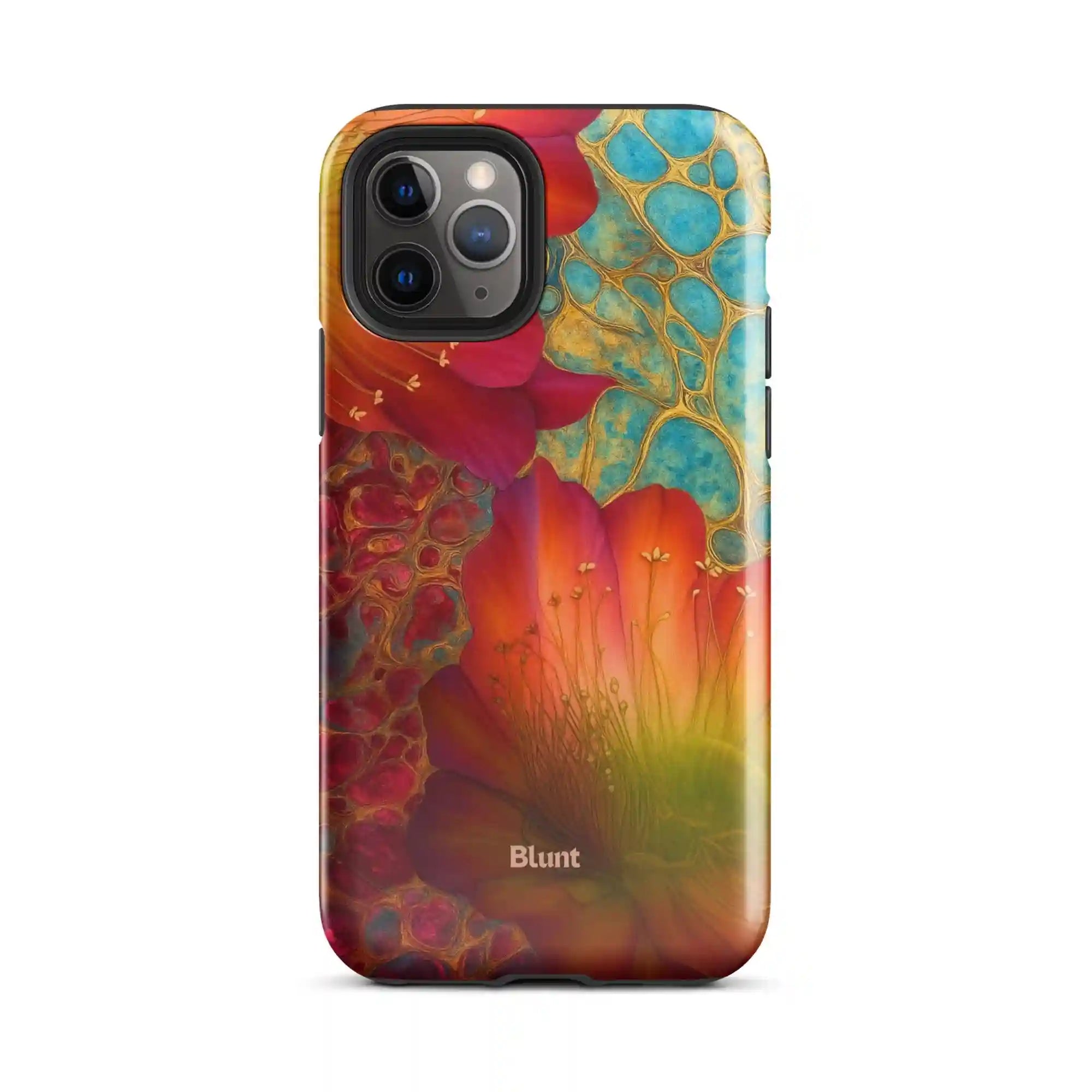 bluntcasesus.it.com