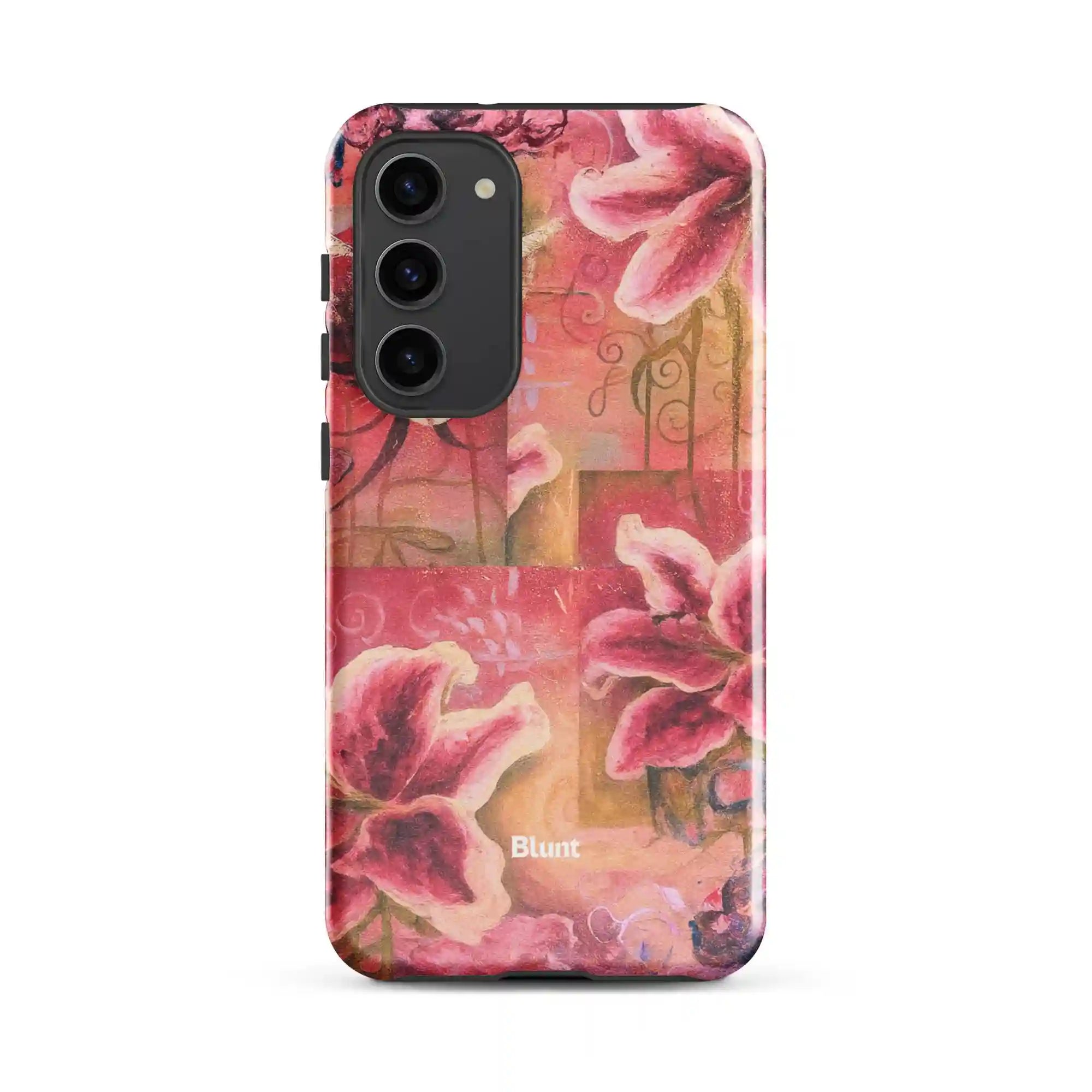 bluntcasesus.it.com