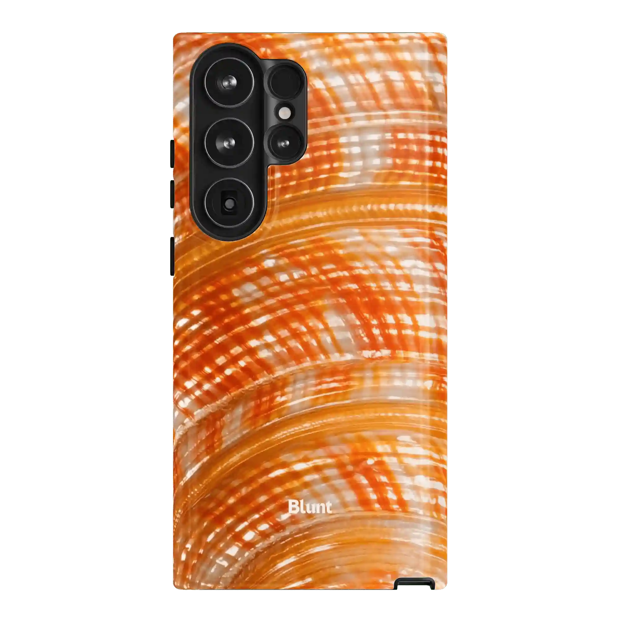 bluntcasesus.it.com