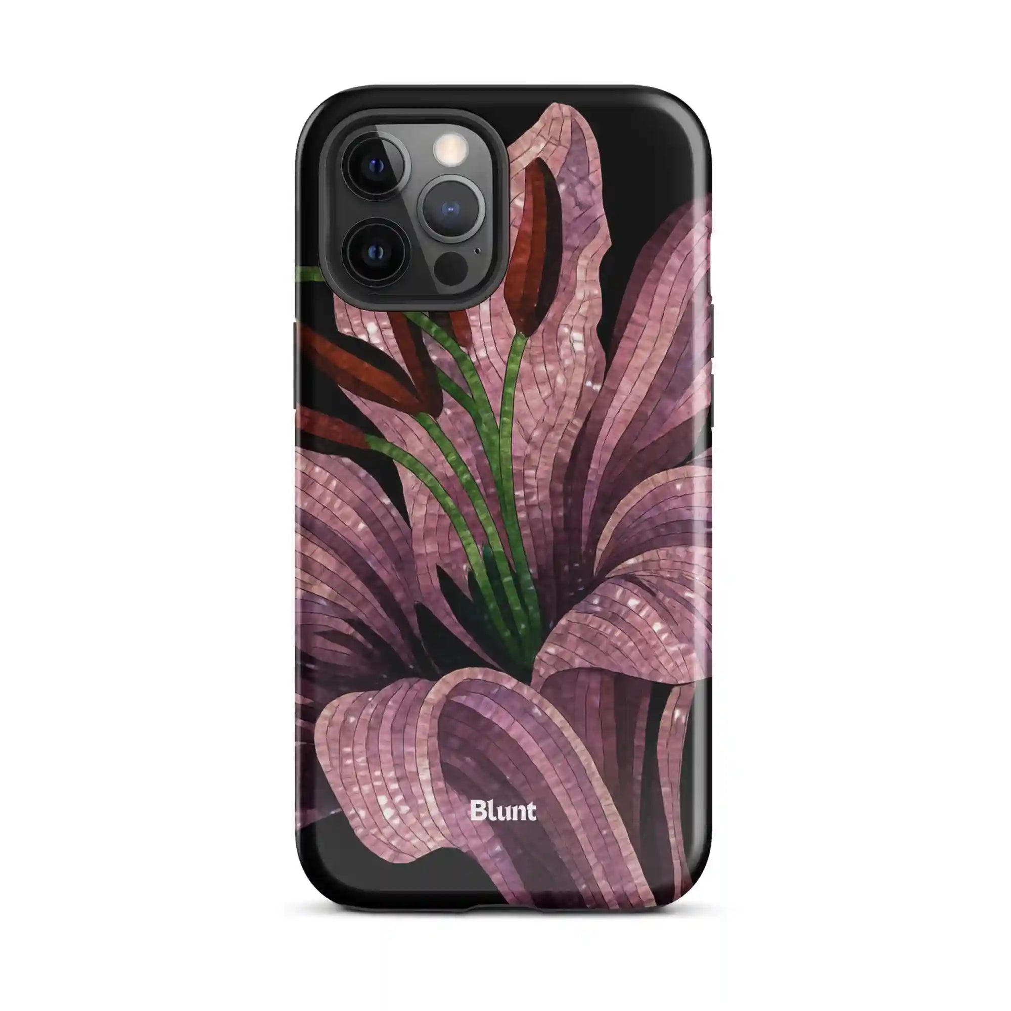 bluntcasesus.it.com