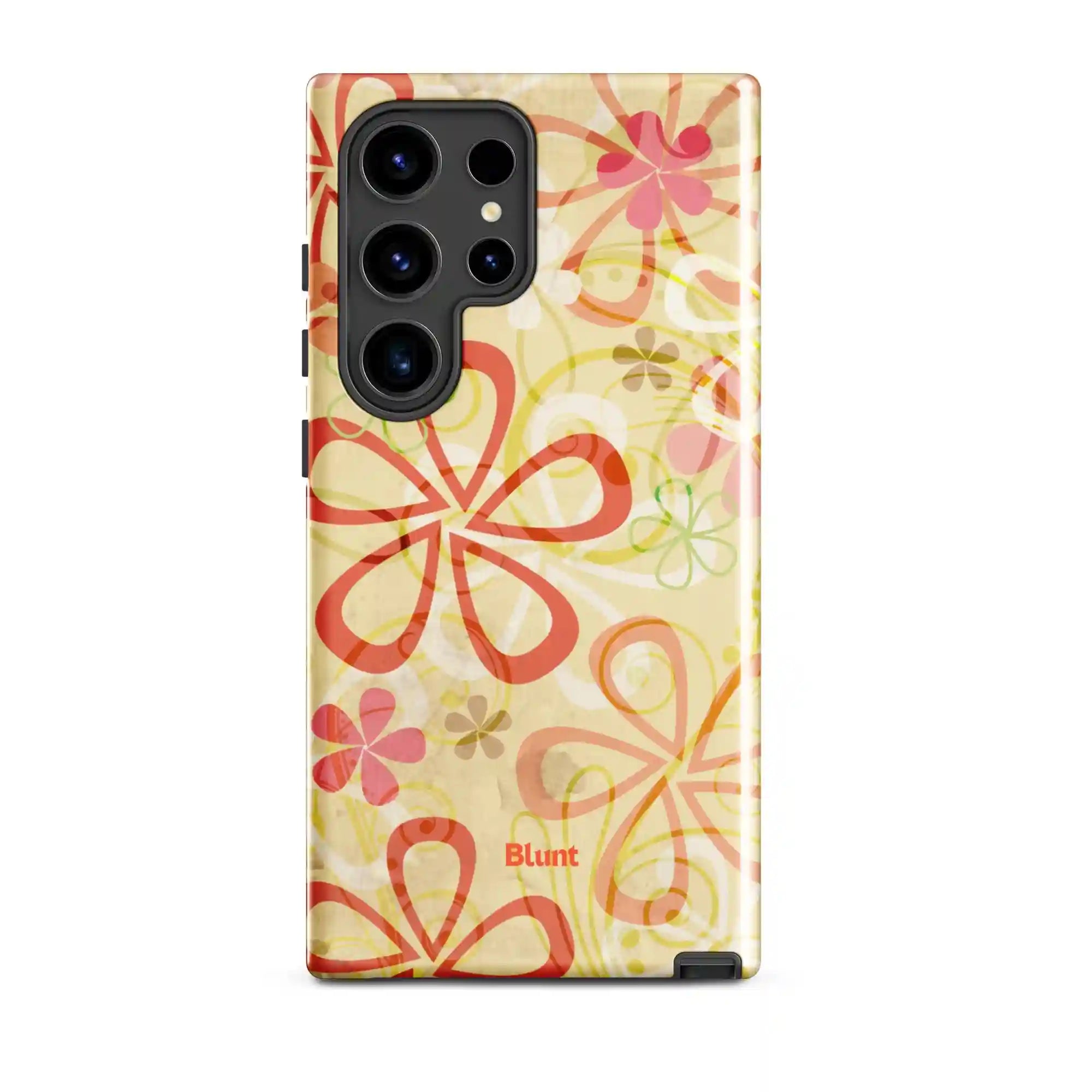 bluntcasesus.it.com