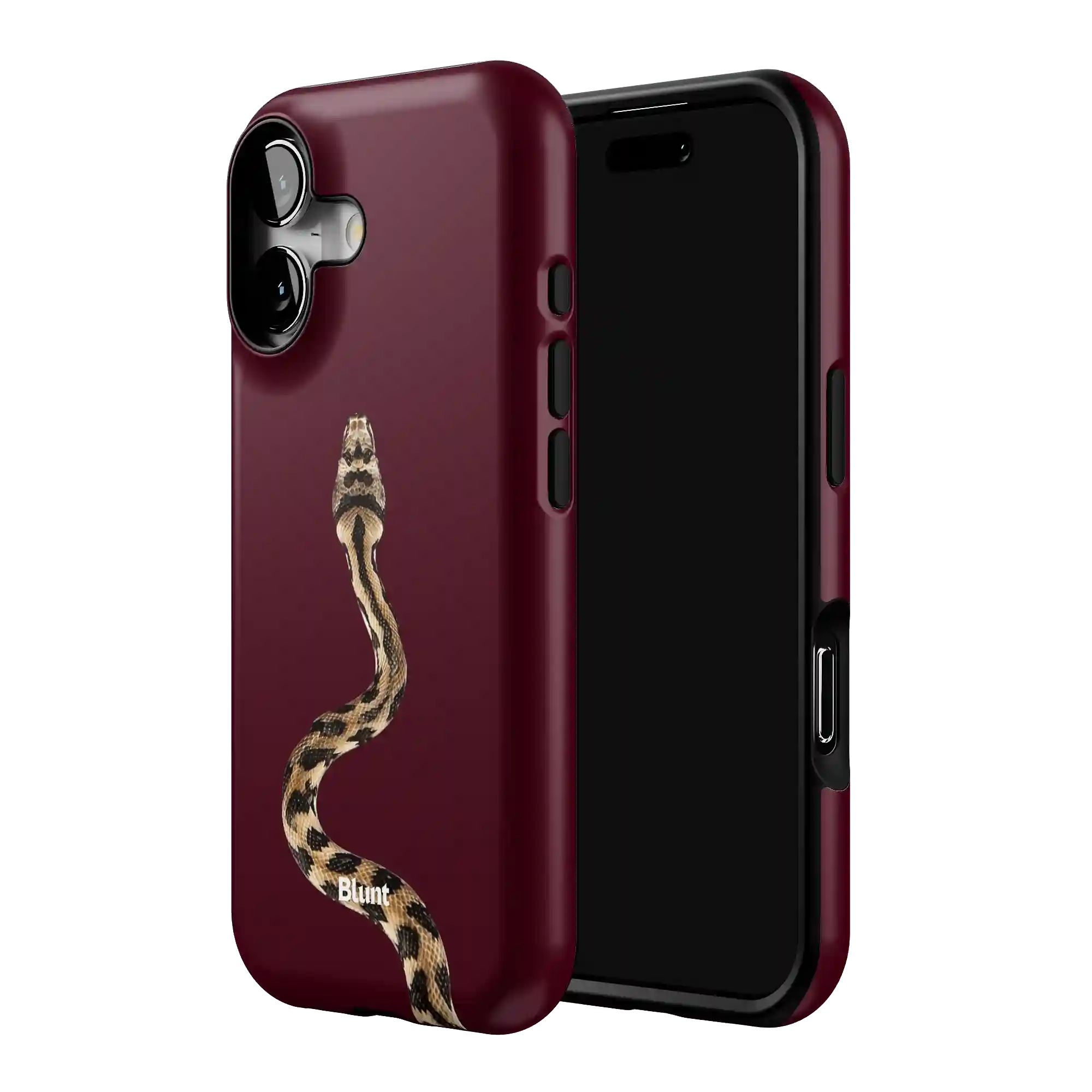 bluntcasesus.it.com