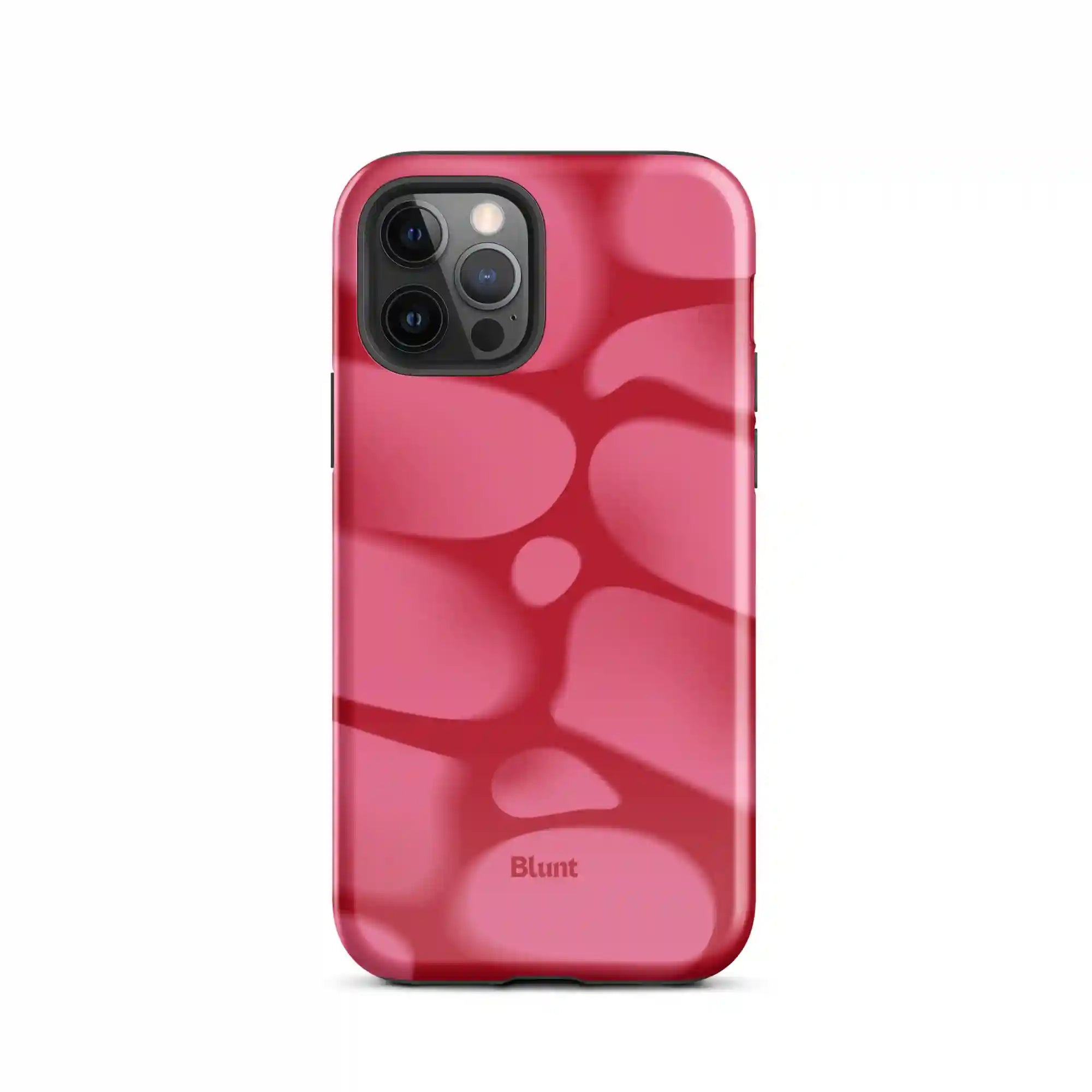 bluntcasesus.it.com