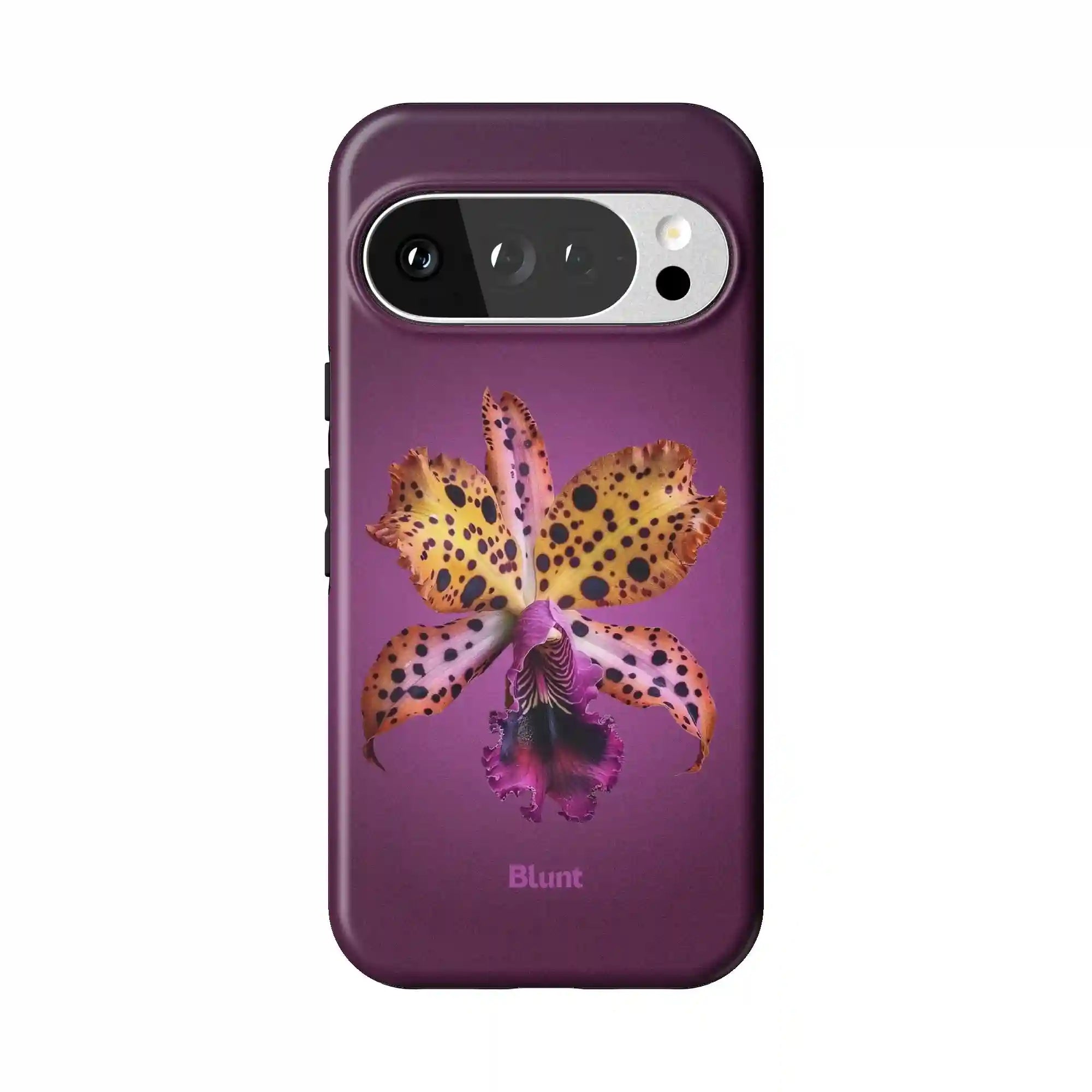 bluntcasesus.it.com