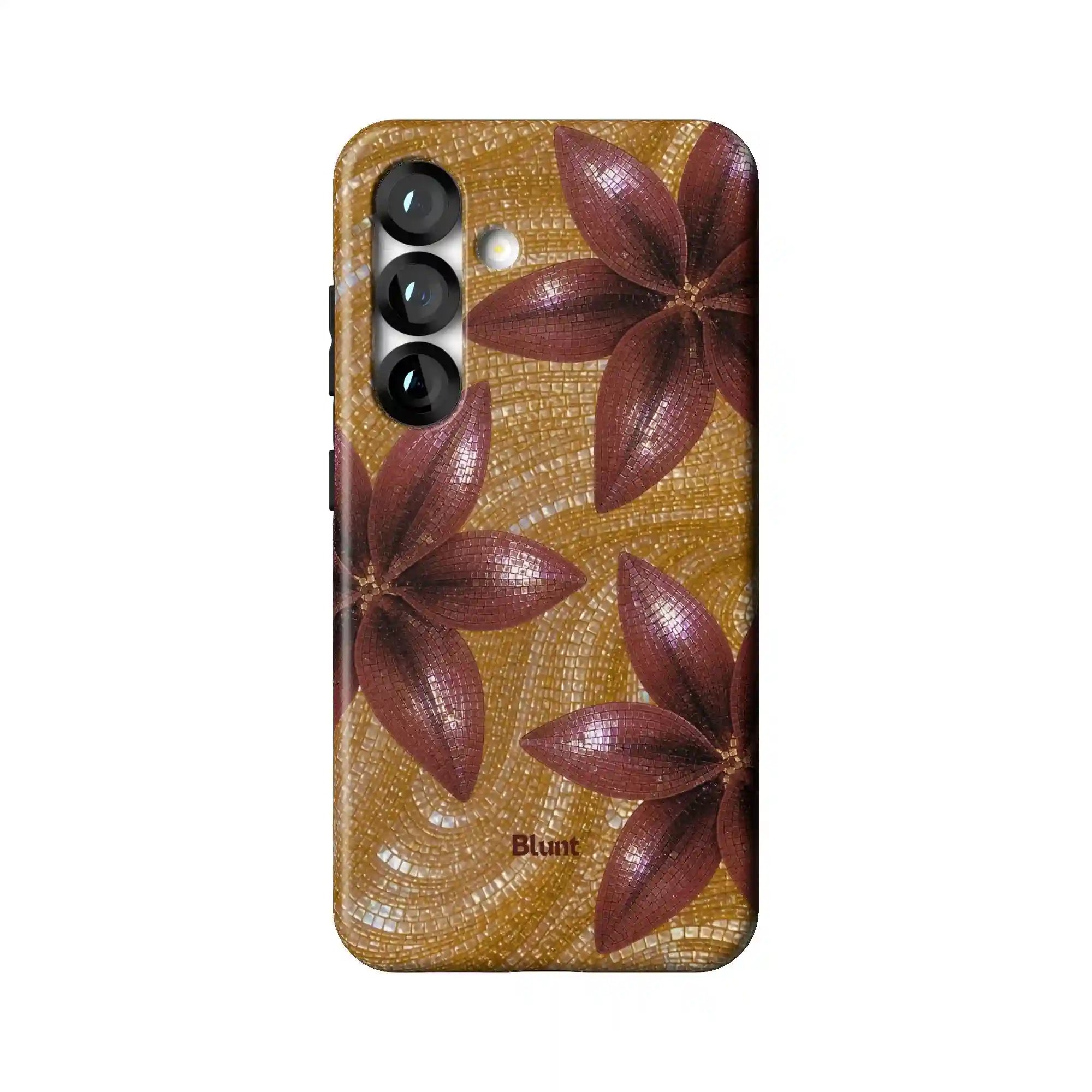 bluntcasesus.it.com