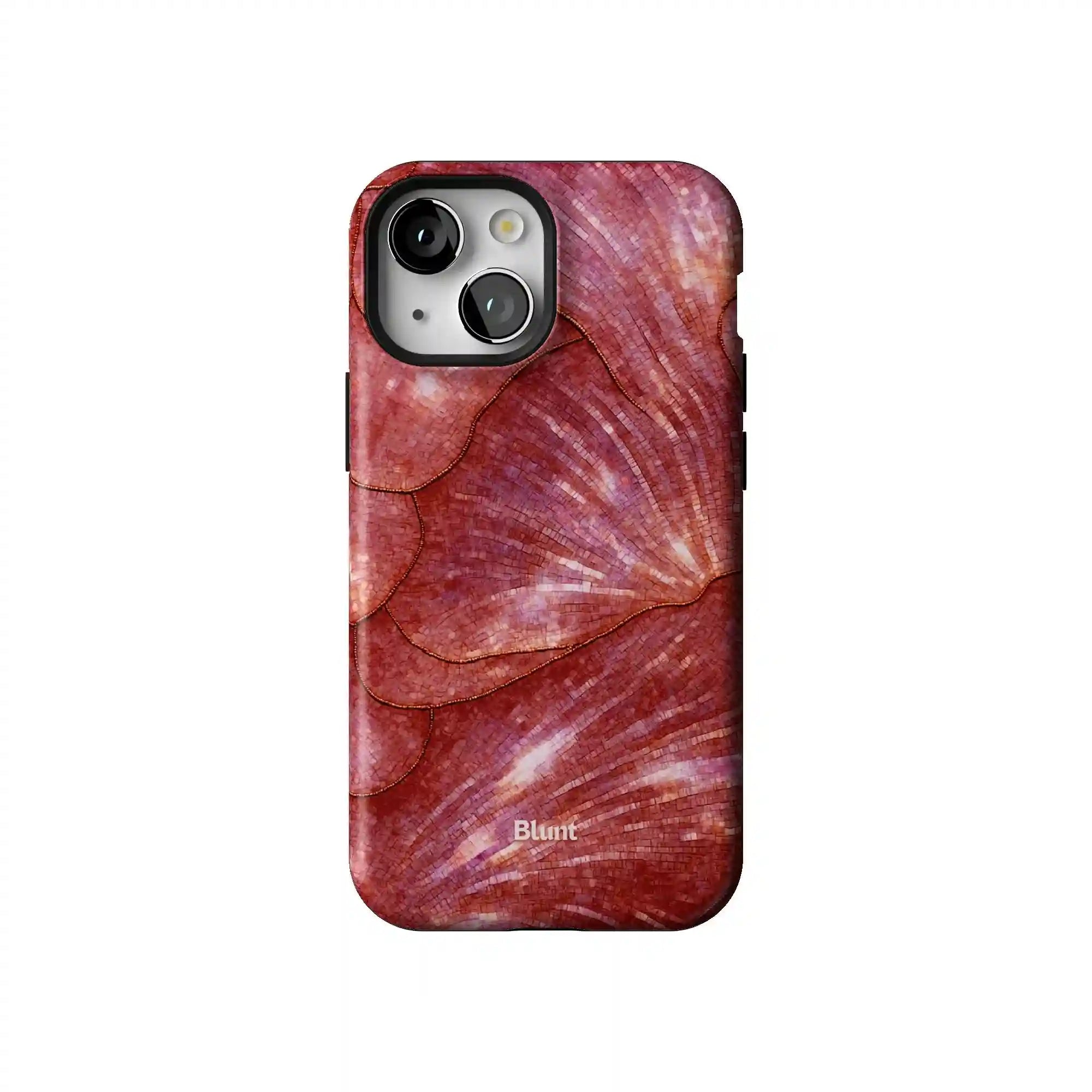 bluntcasesus.it.com
