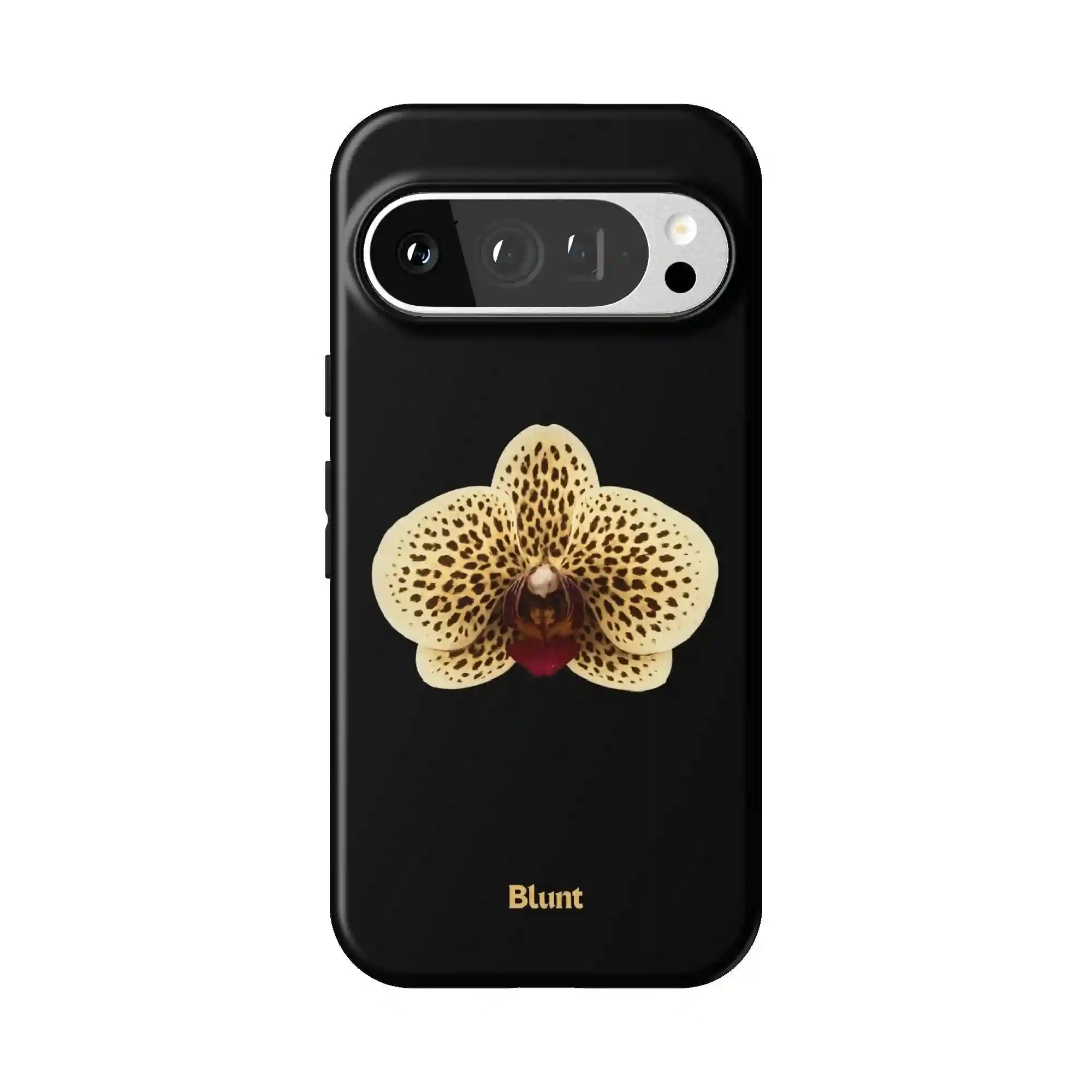 bluntcasesus.it.com