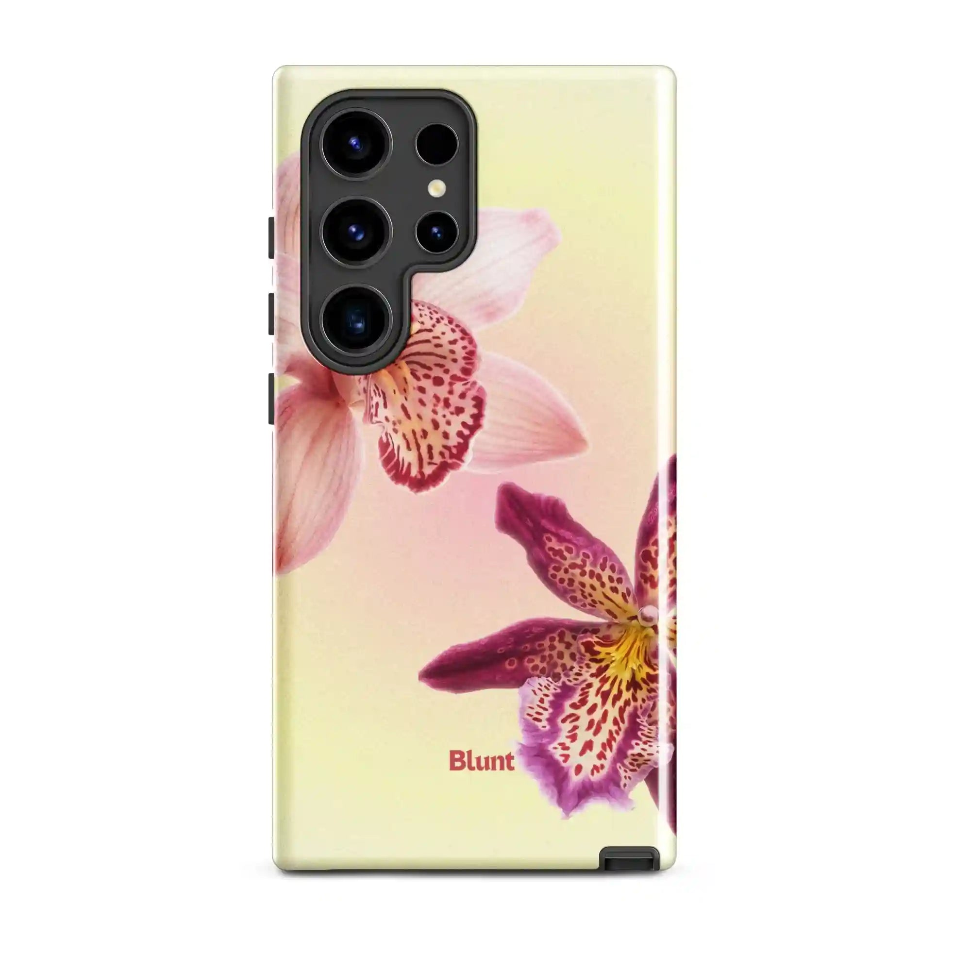 bluntcasesus.it.com