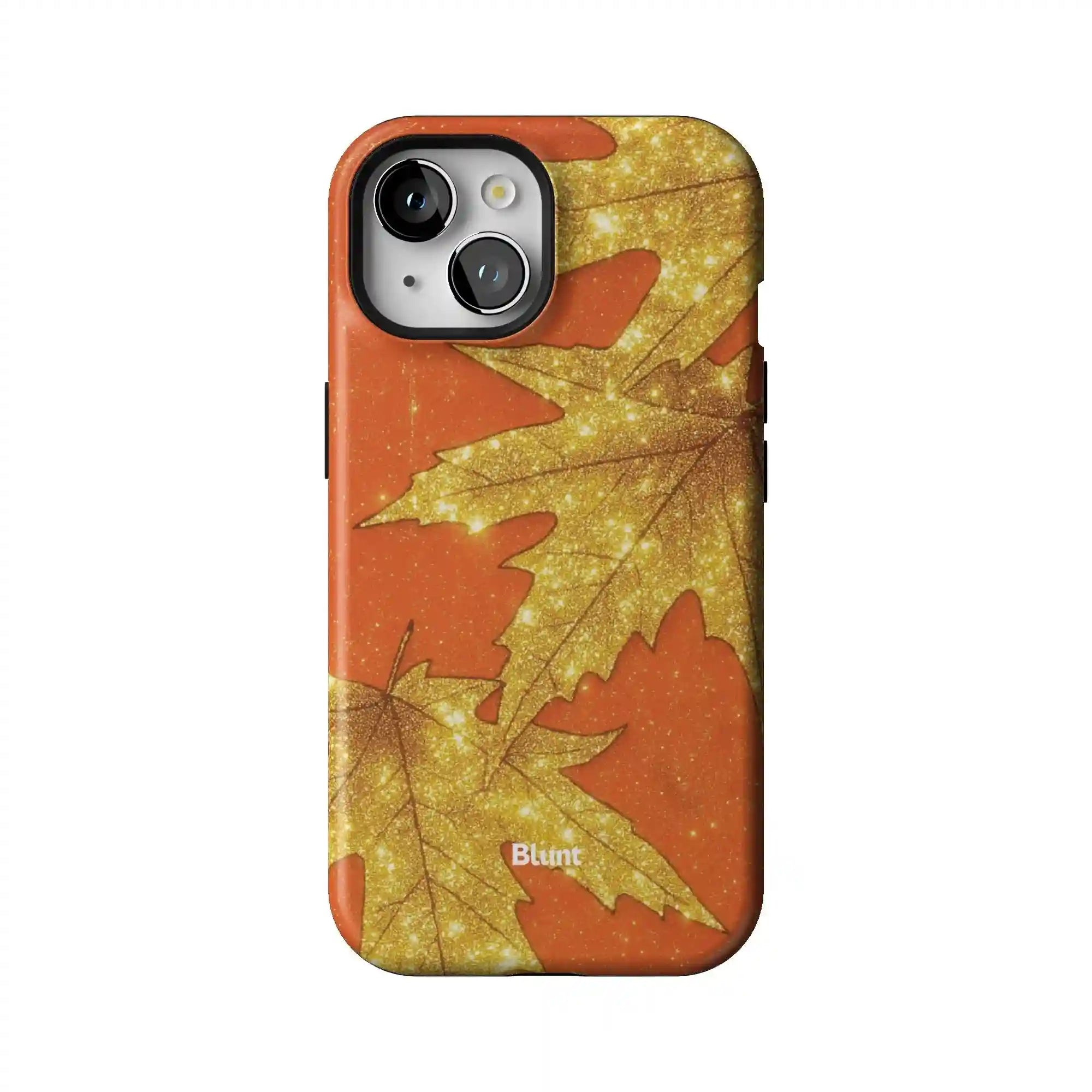 bluntcasesus.it.com