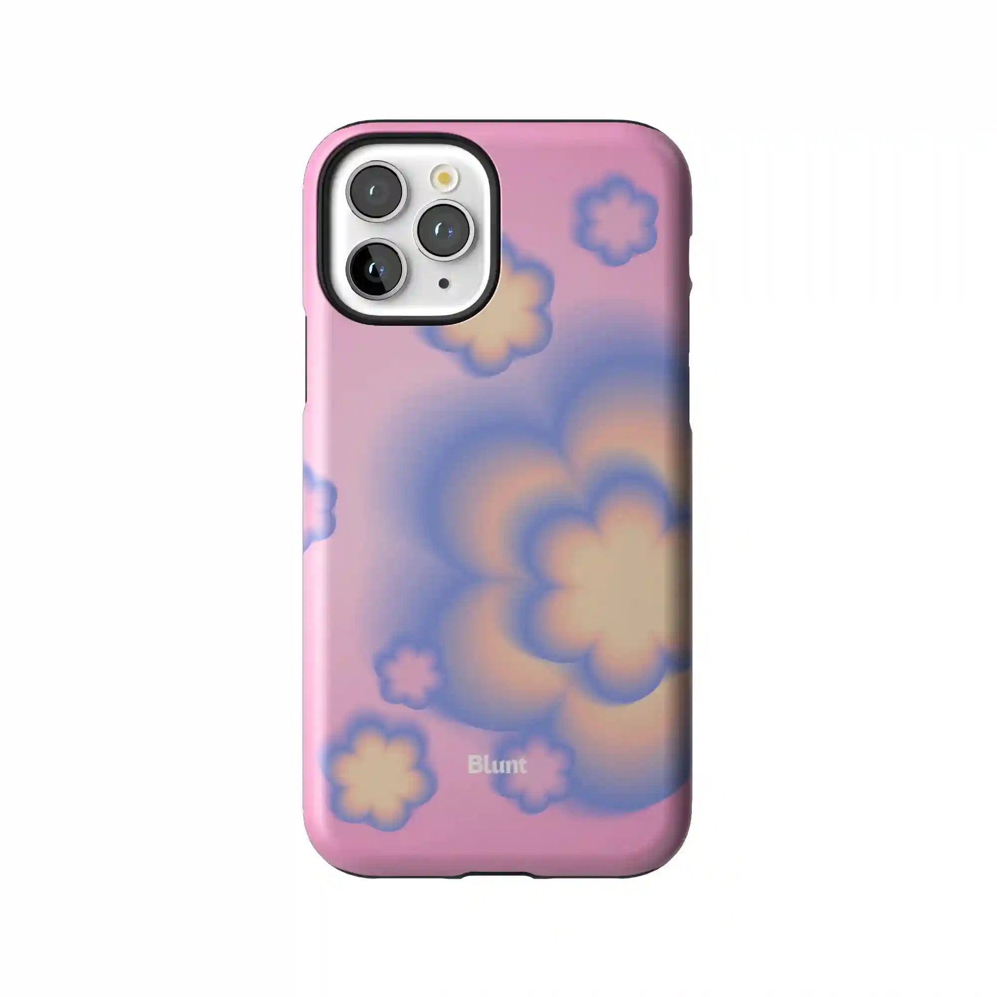 bluntcasesus.it.com