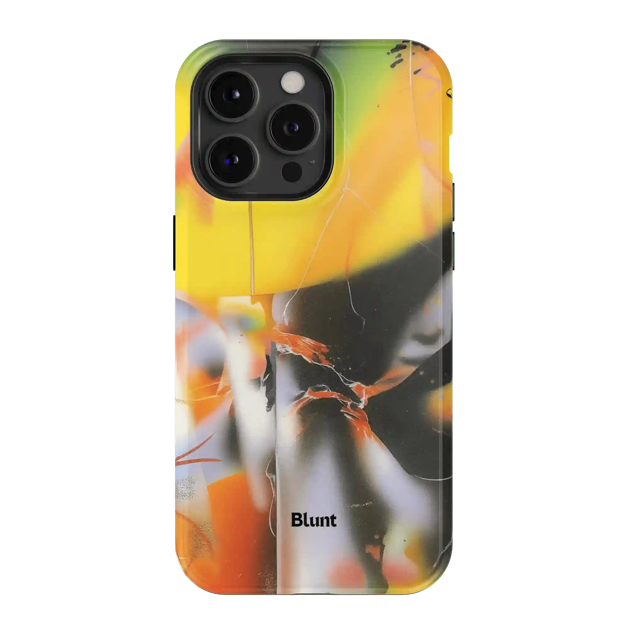 bluntcasesus.it.com