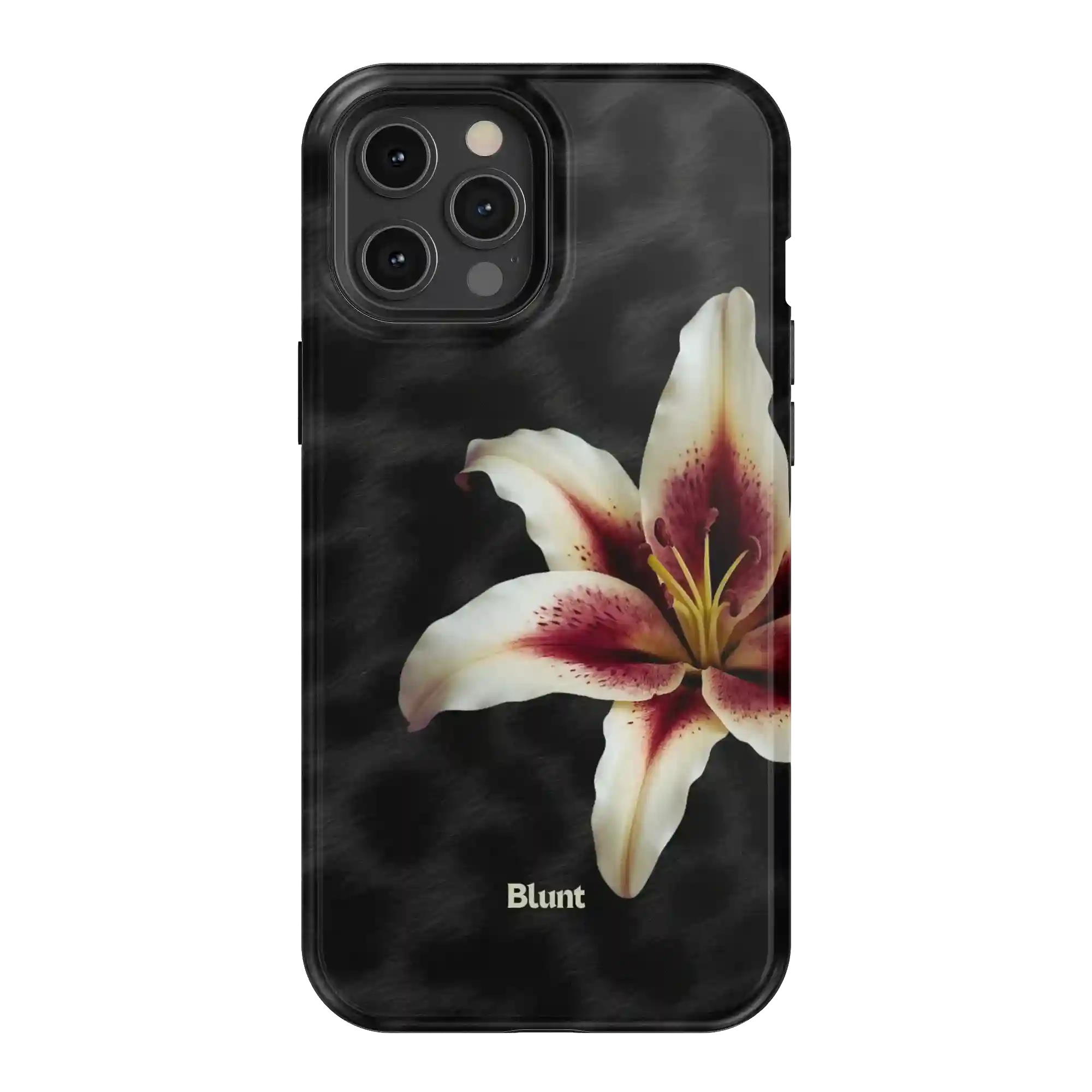 bluntcasesus.it.com