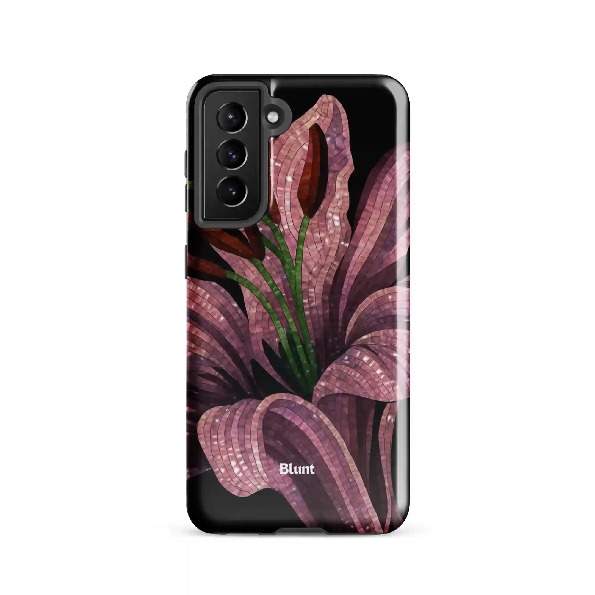 bluntcasesus.it.com