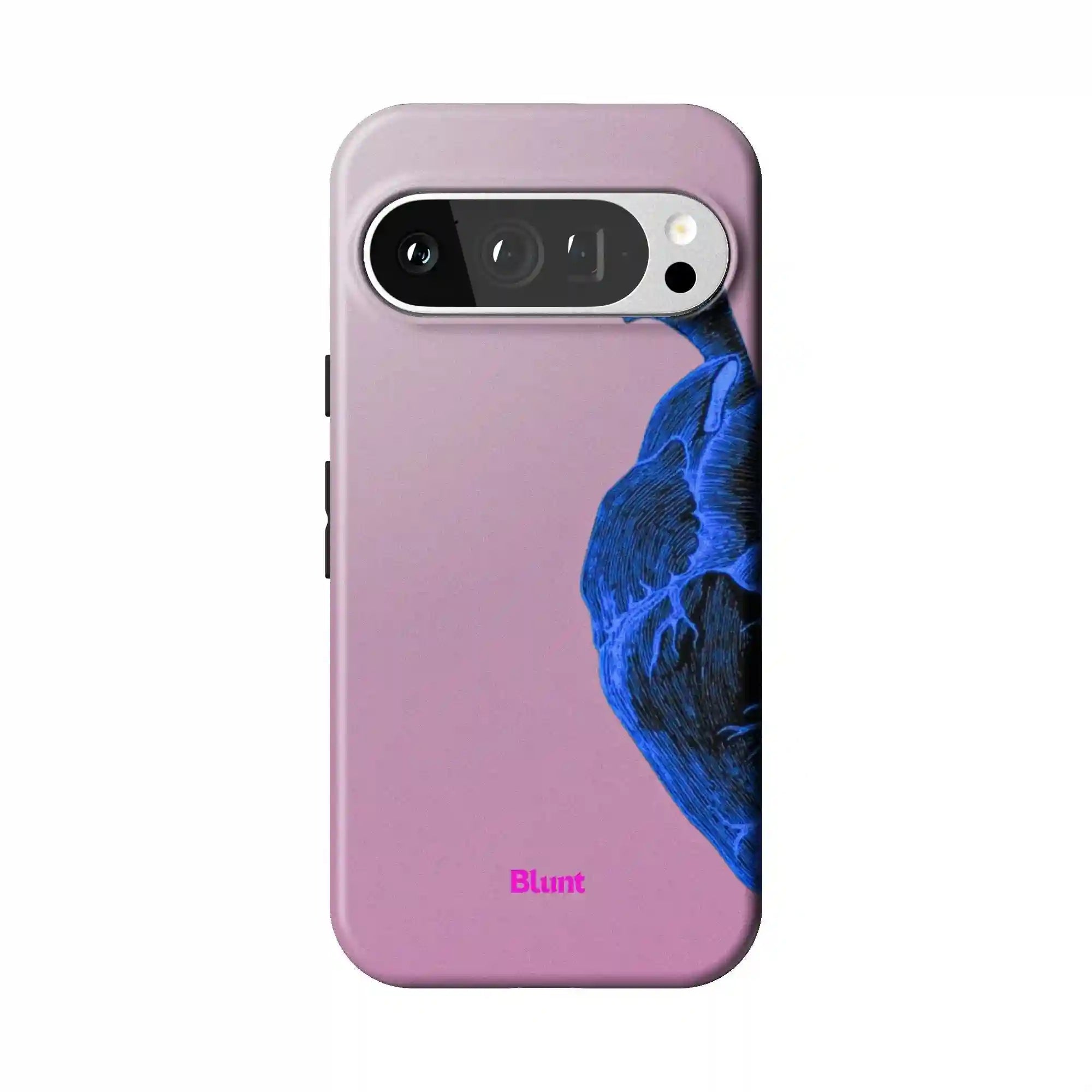 bluntcasesus.it.com