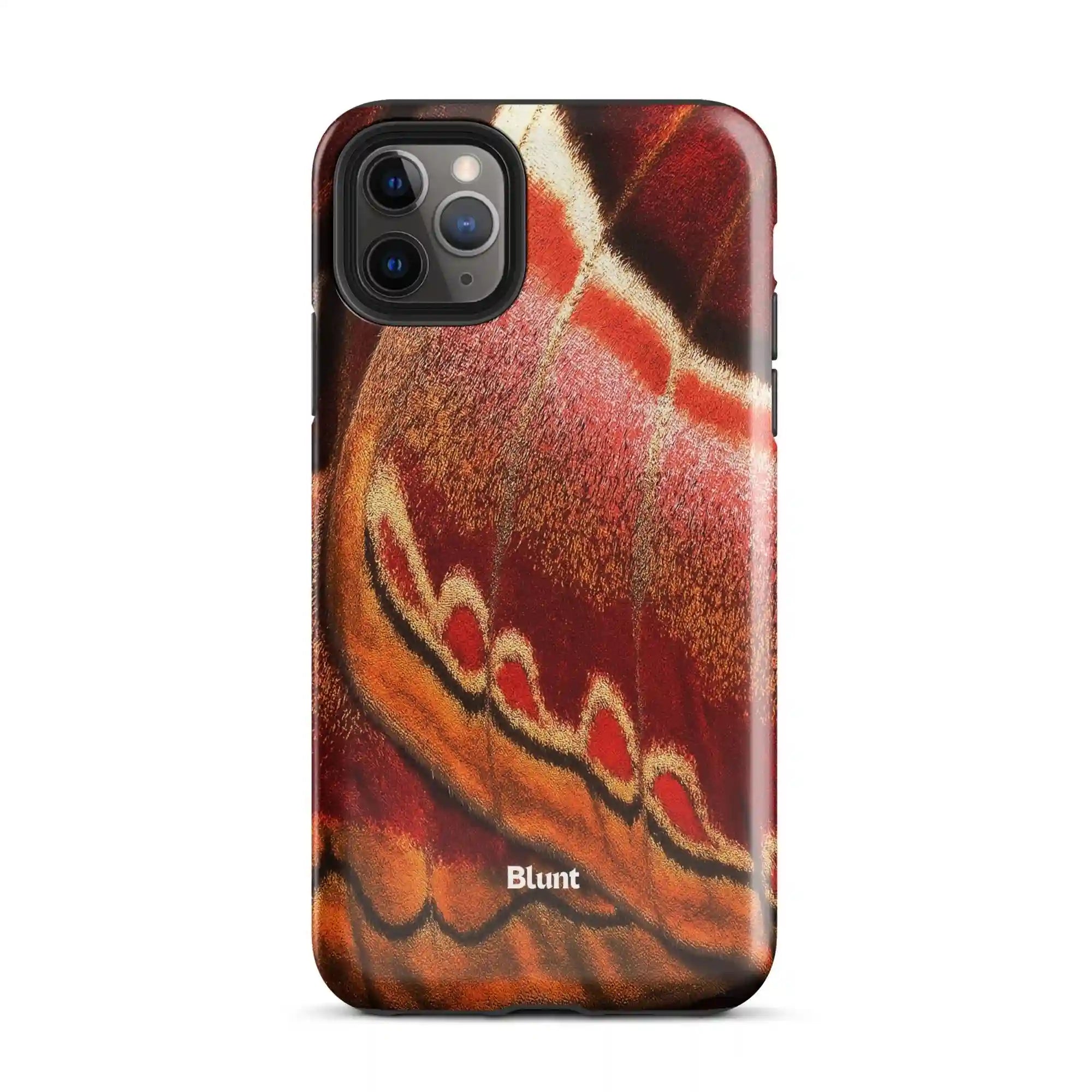 bluntcasesus.it.com