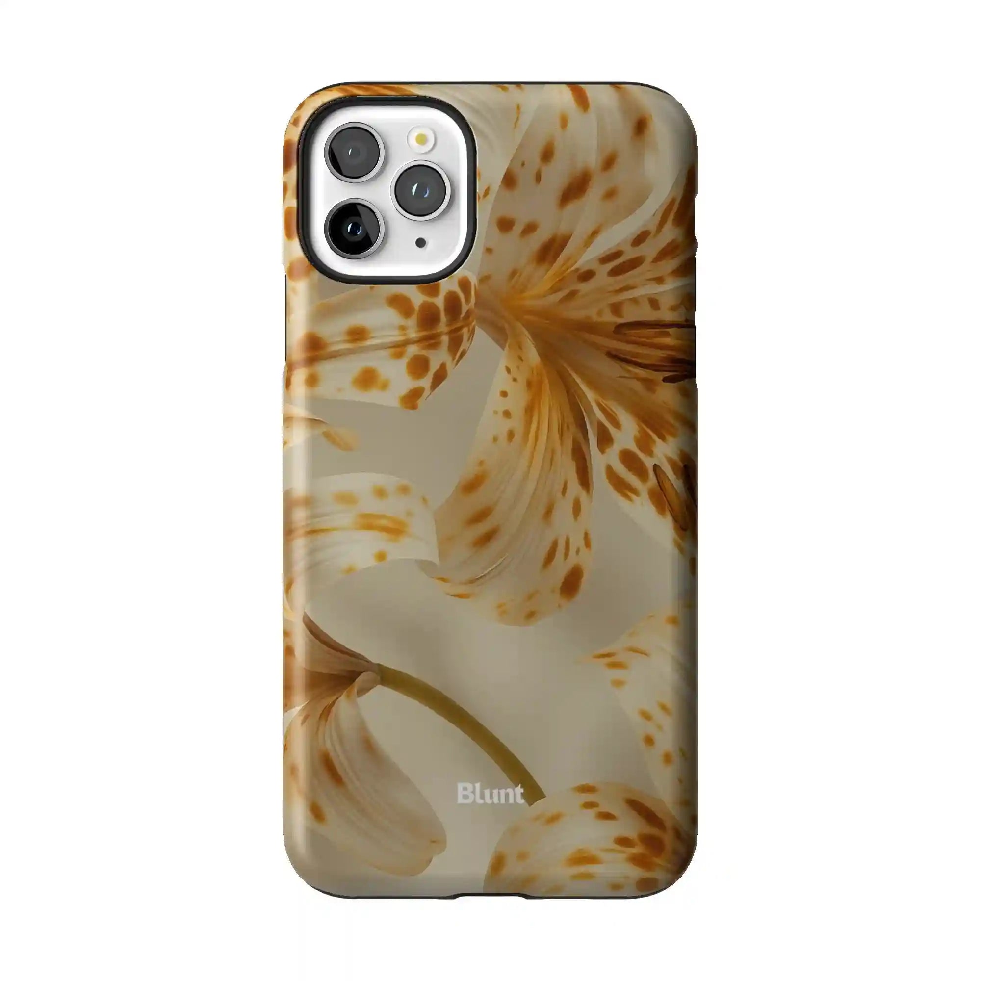 bluntcasesus.it.com