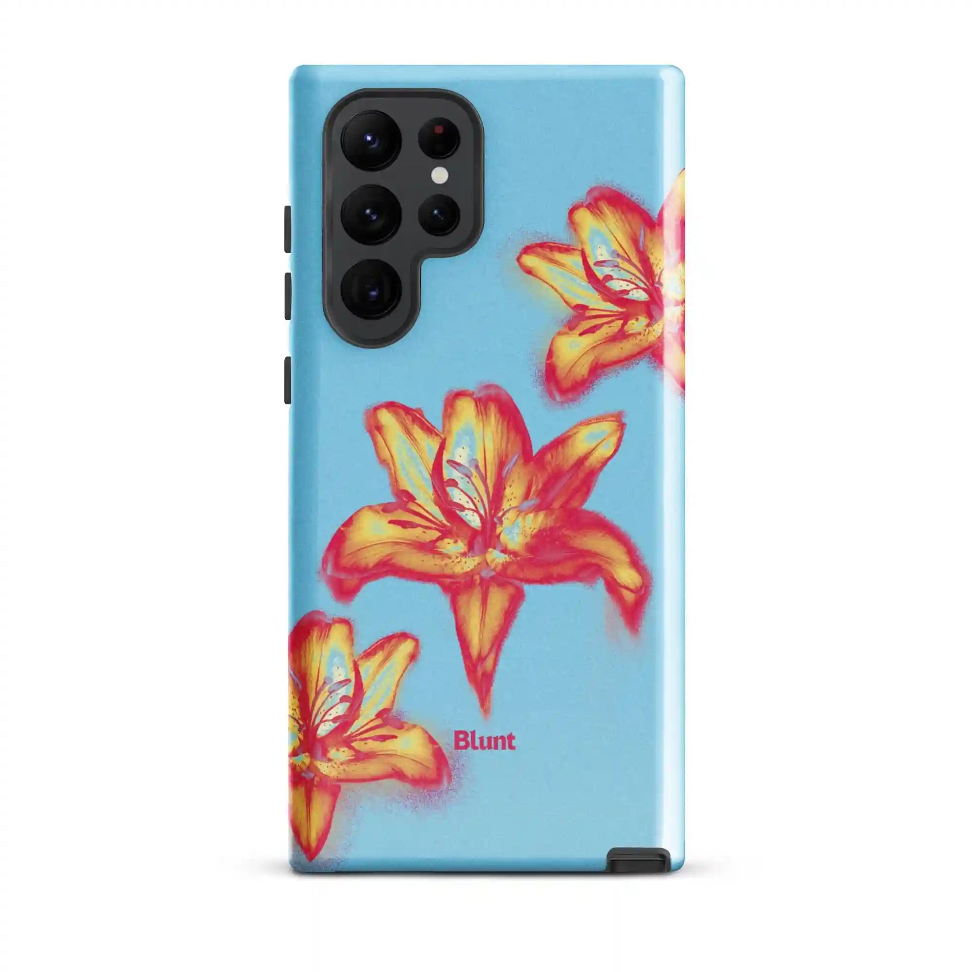 bluntcasesus.it.com