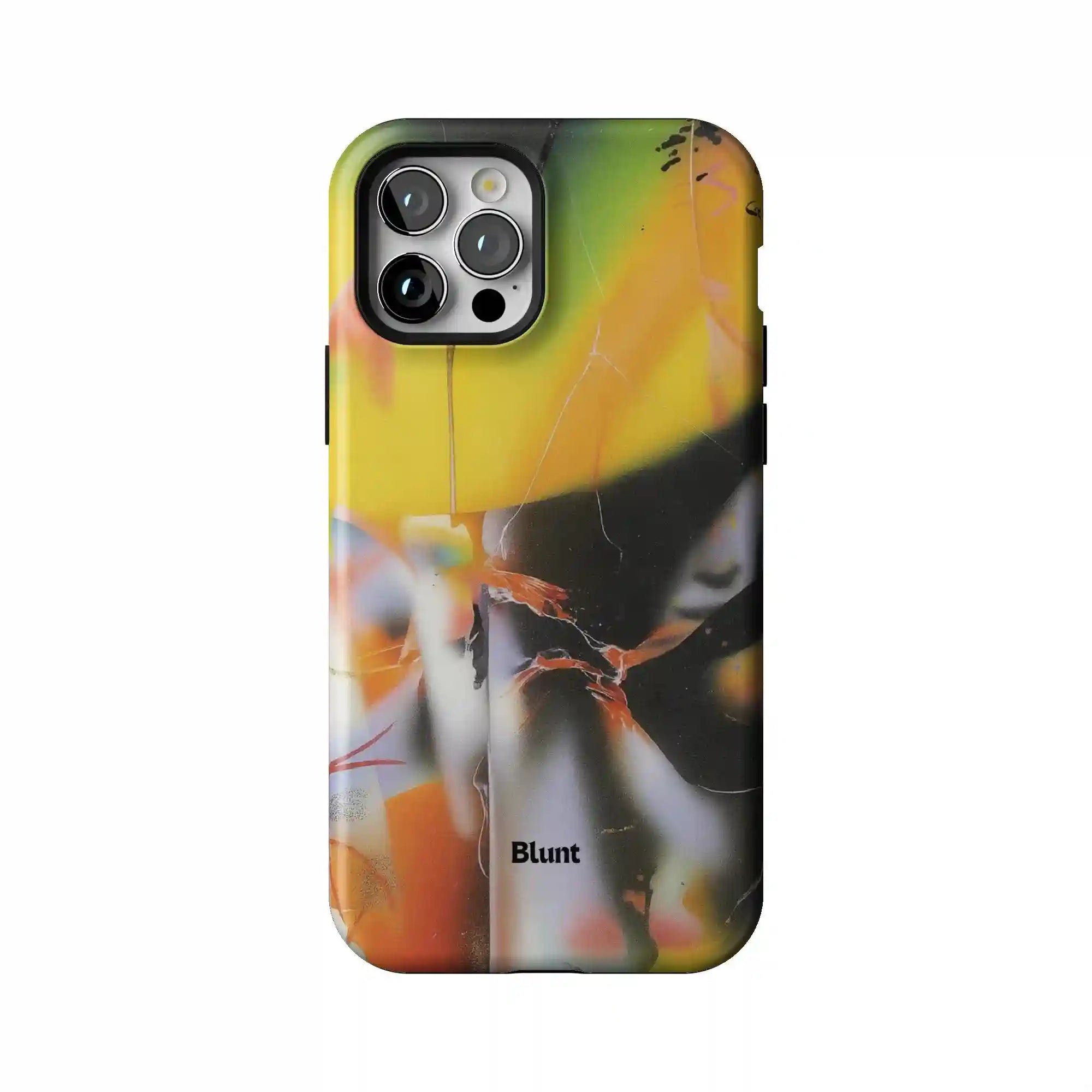bluntcasesus.it.com