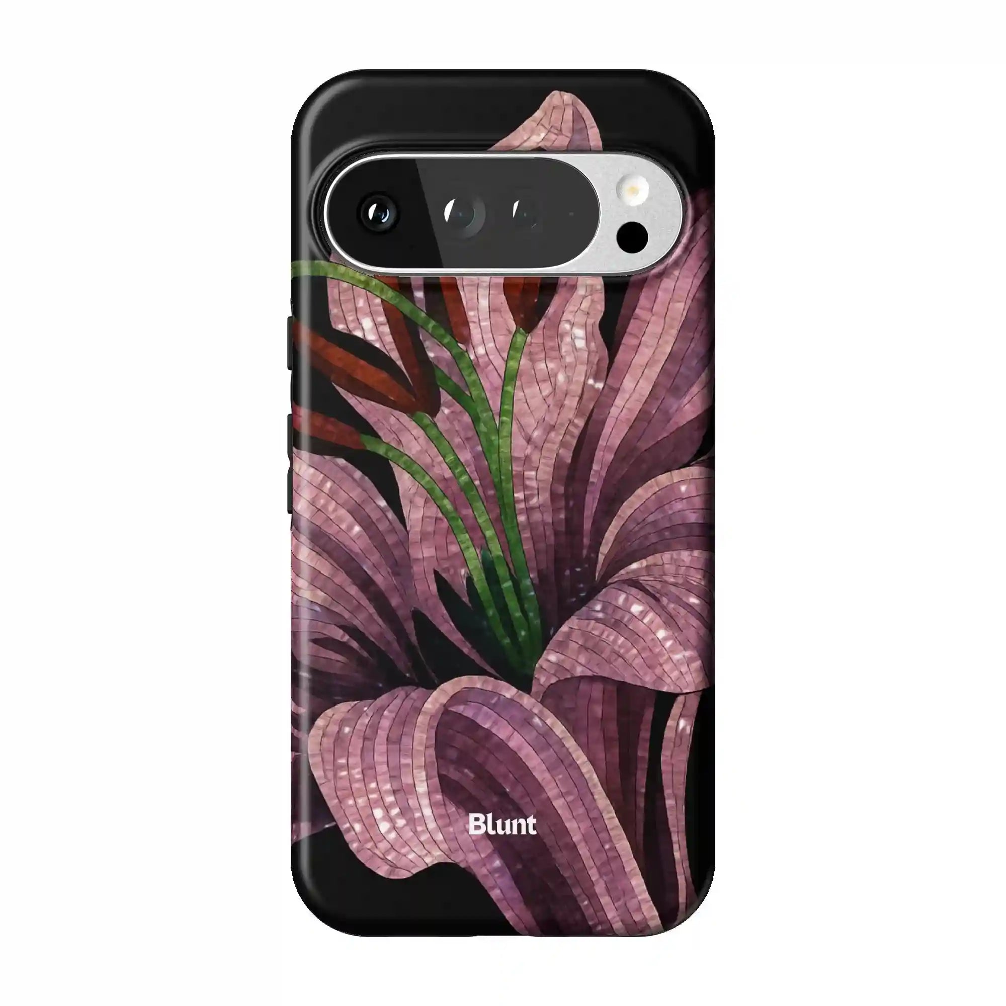 bluntcasesus.it.com