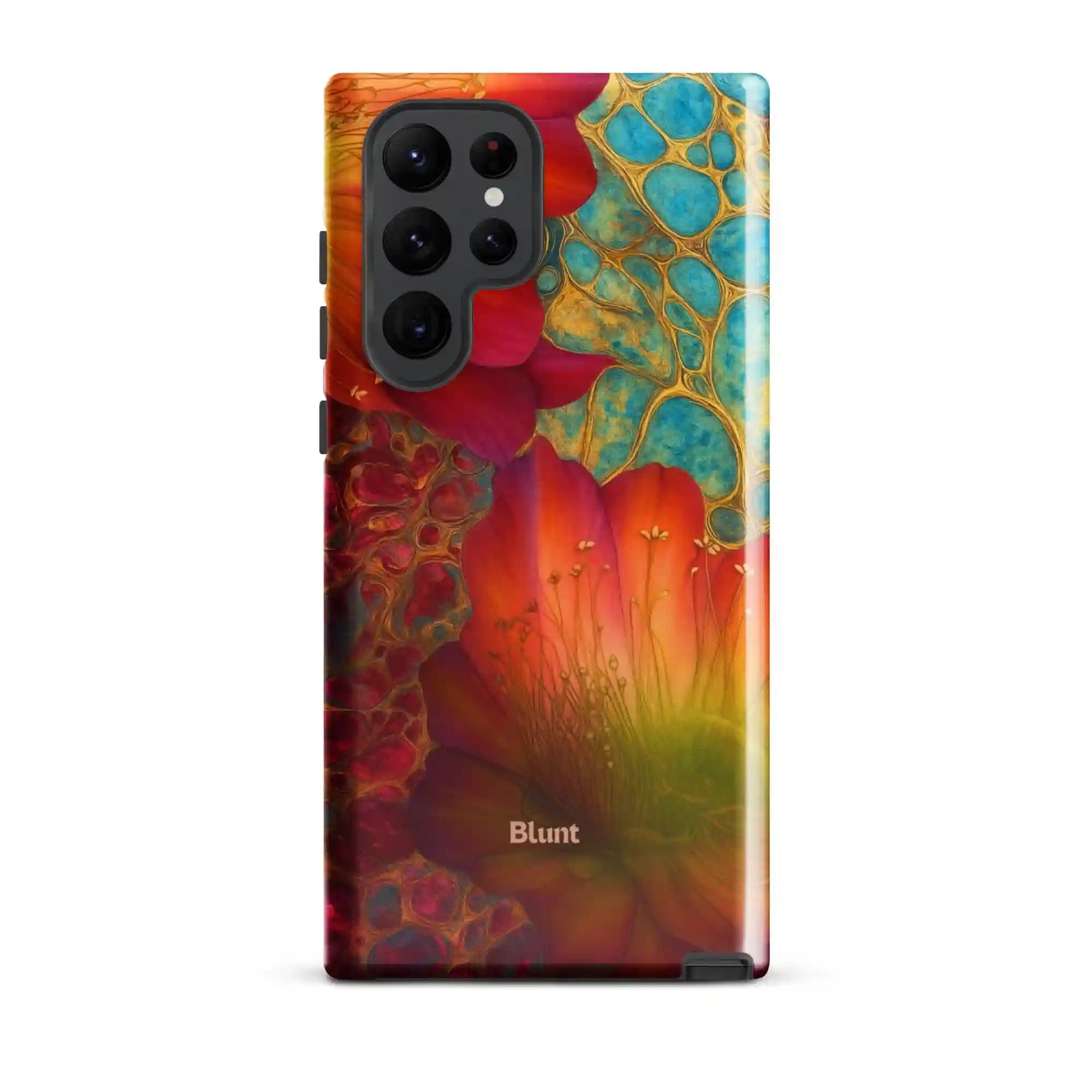 bluntcasesus.it.com