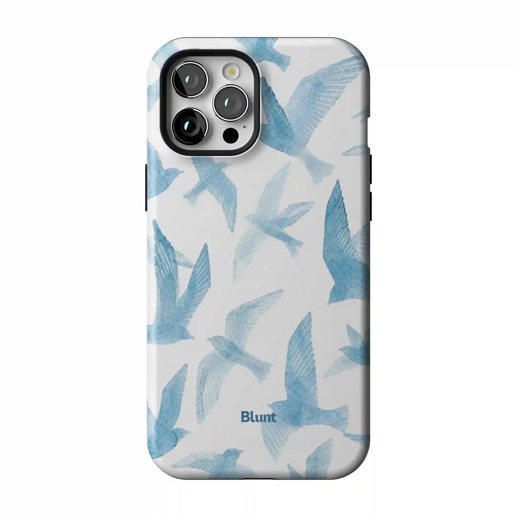 bluntcasesus.it.com