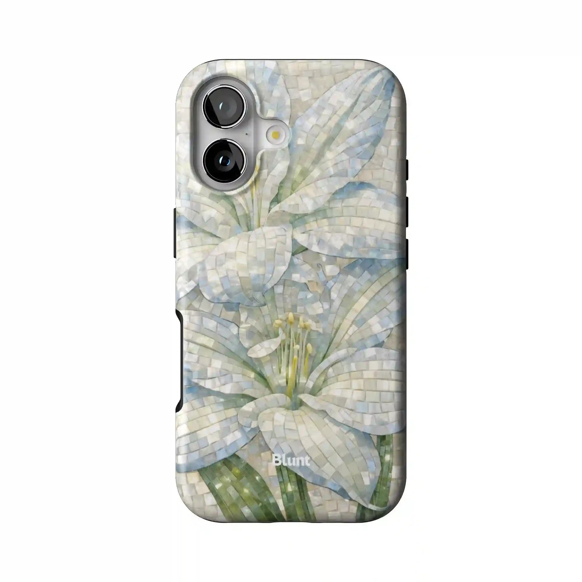 bluntcasesus.it.com