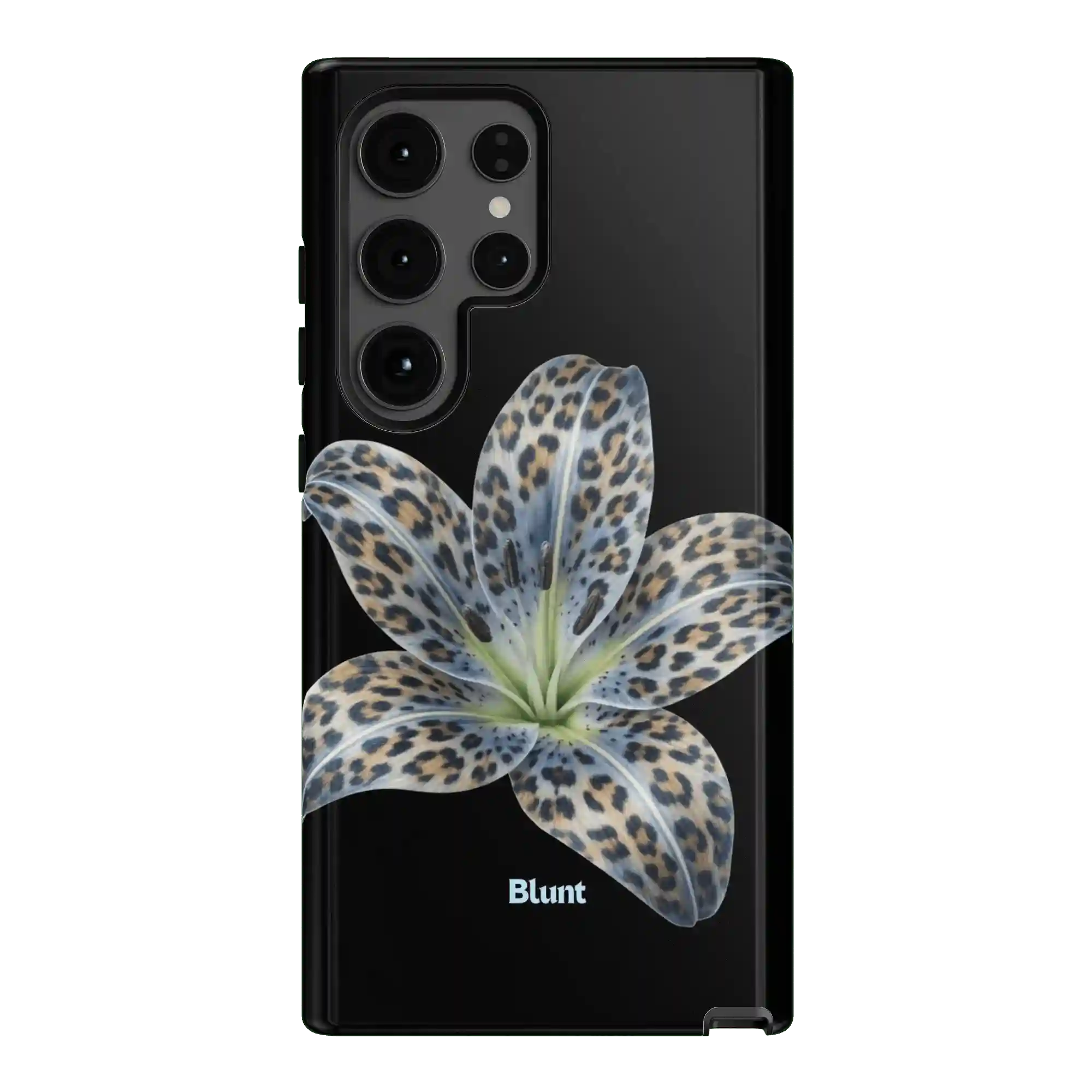 bluntcasesus.it.com
