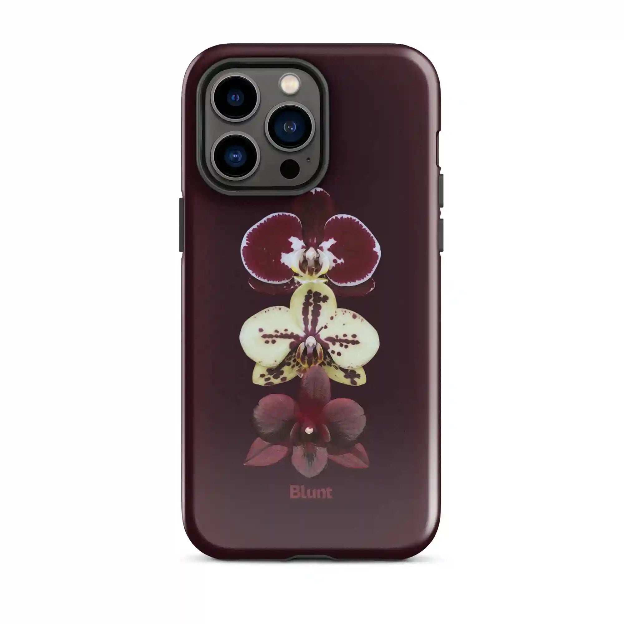 bluntcasesus.it.com