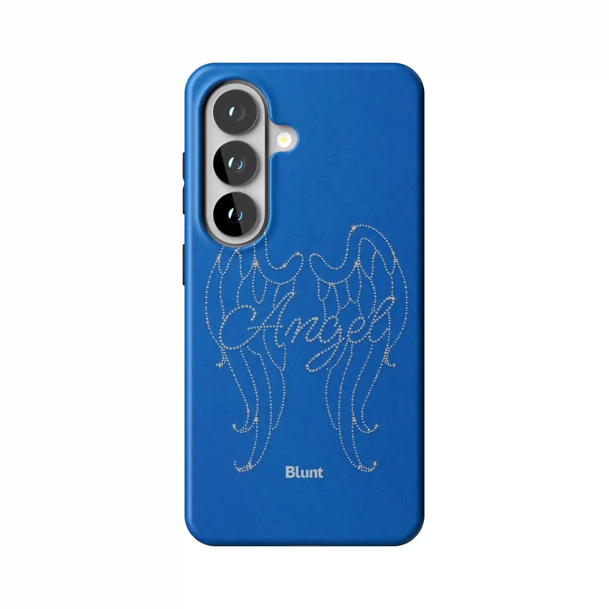 bluntcasesus.it.com