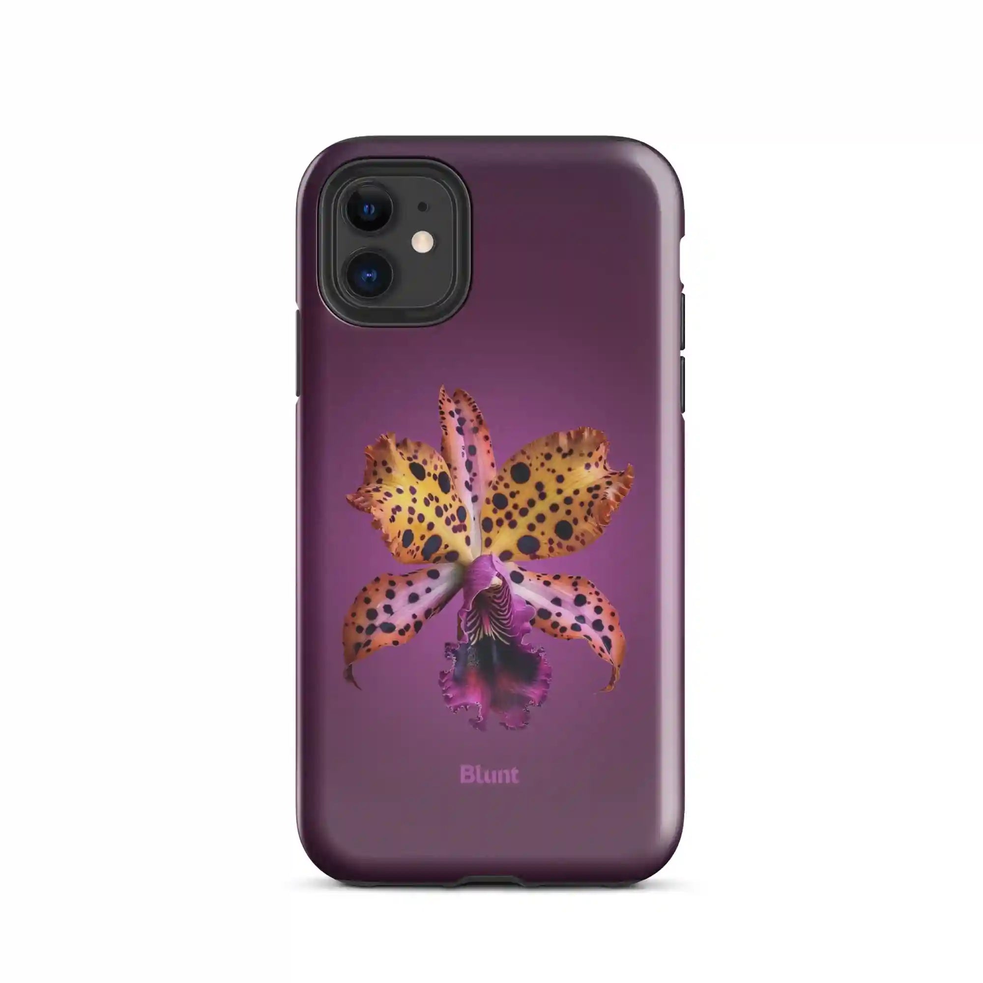 bluntcasesus.it.com