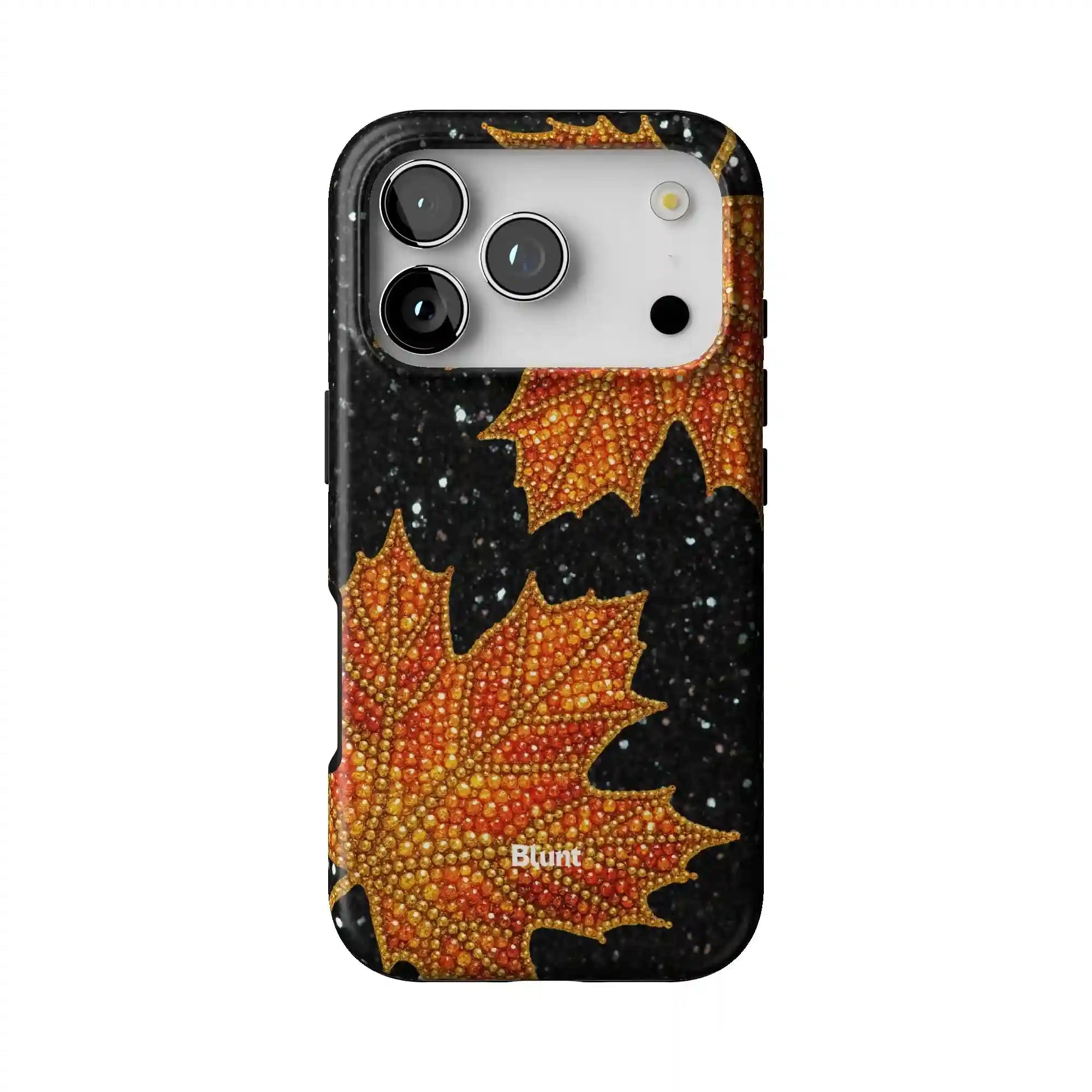 bluntcasesus.it.com
