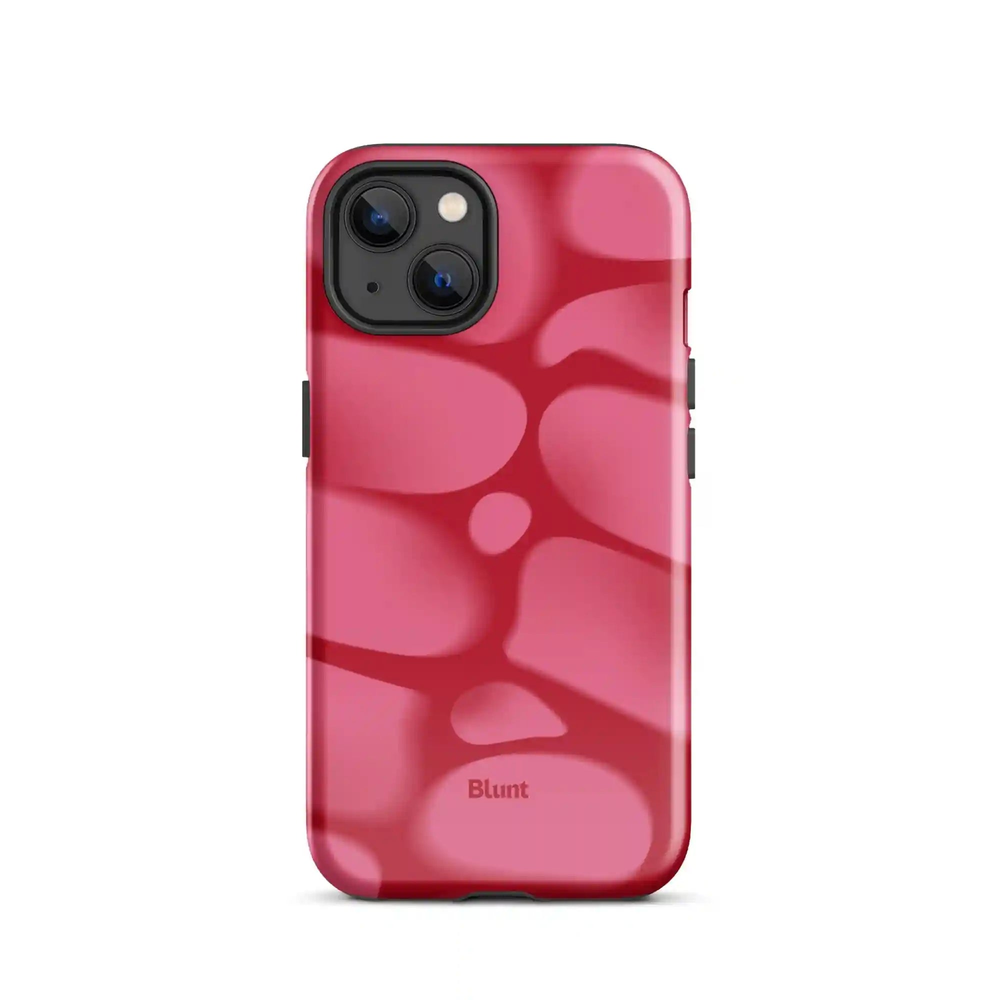bluntcasesus.it.com