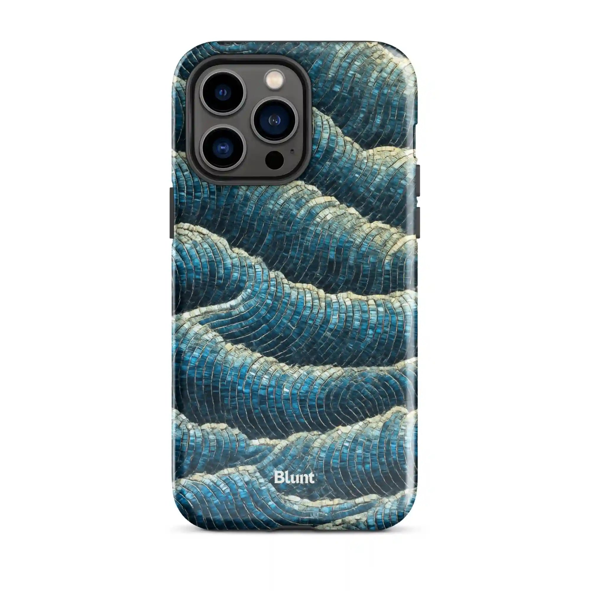 bluntcasesus.it.com