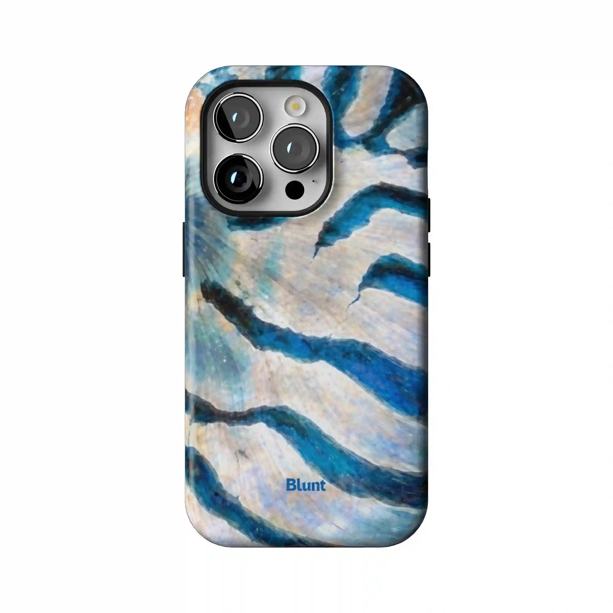 bluntcasesus.it.com