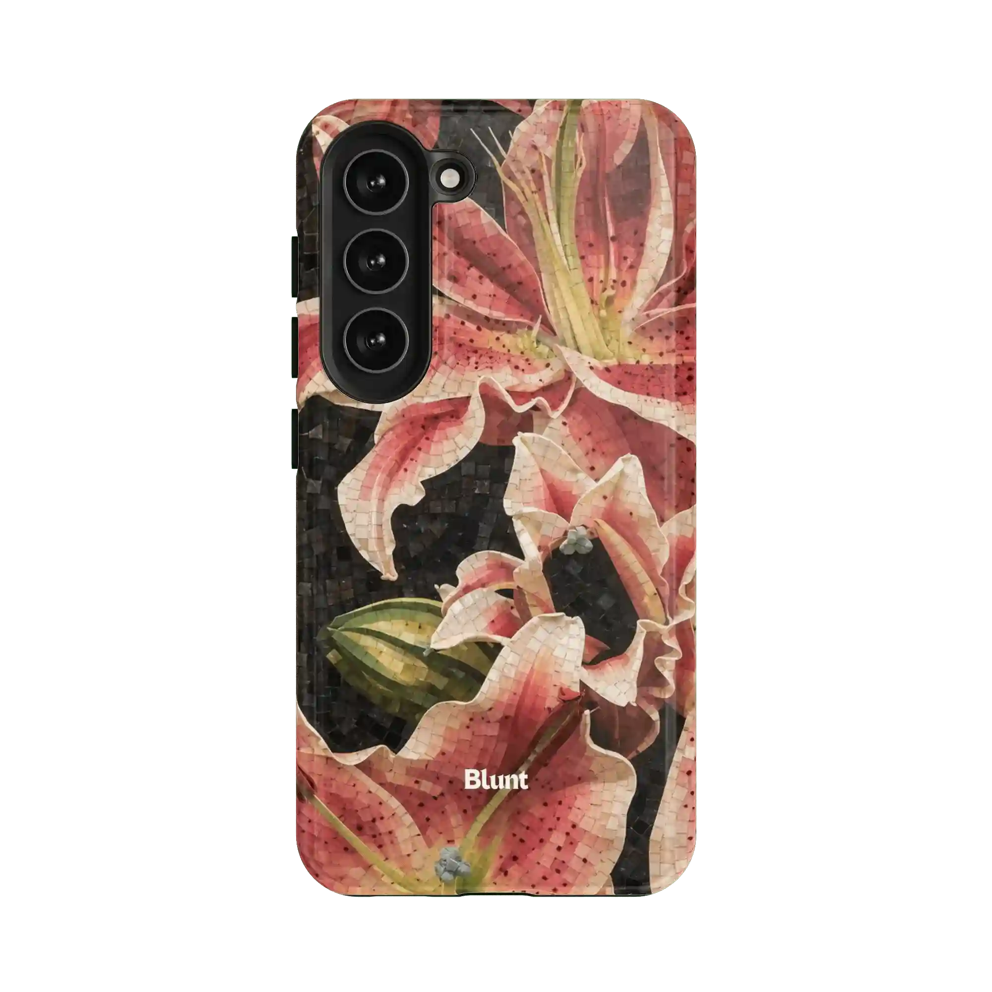 bluntcasesus.it.com