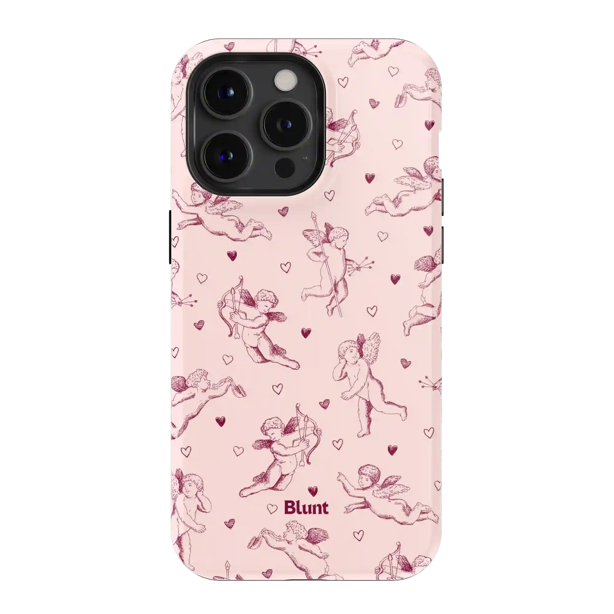 bluntcasesus.it.com