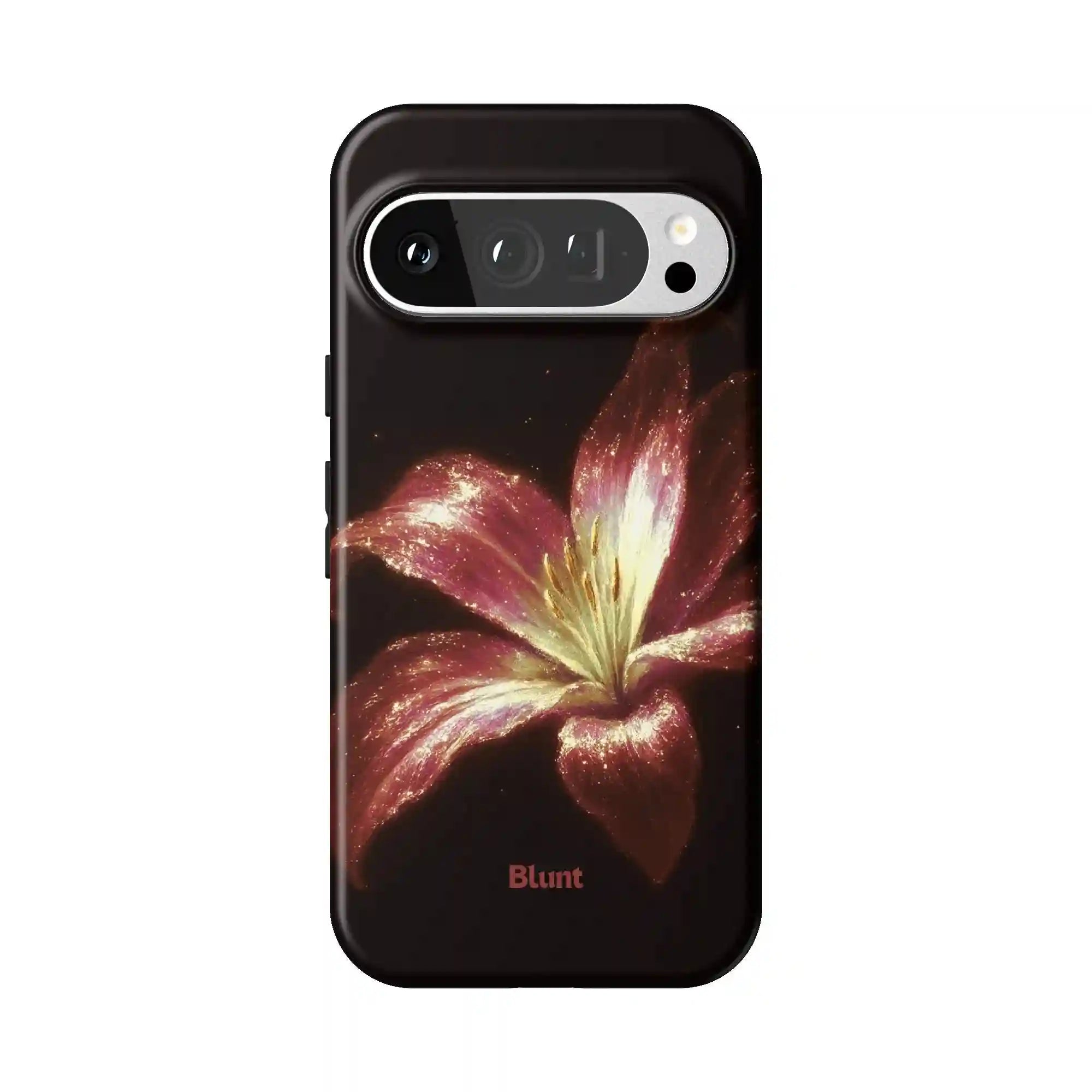 bluntcasesus.it.com