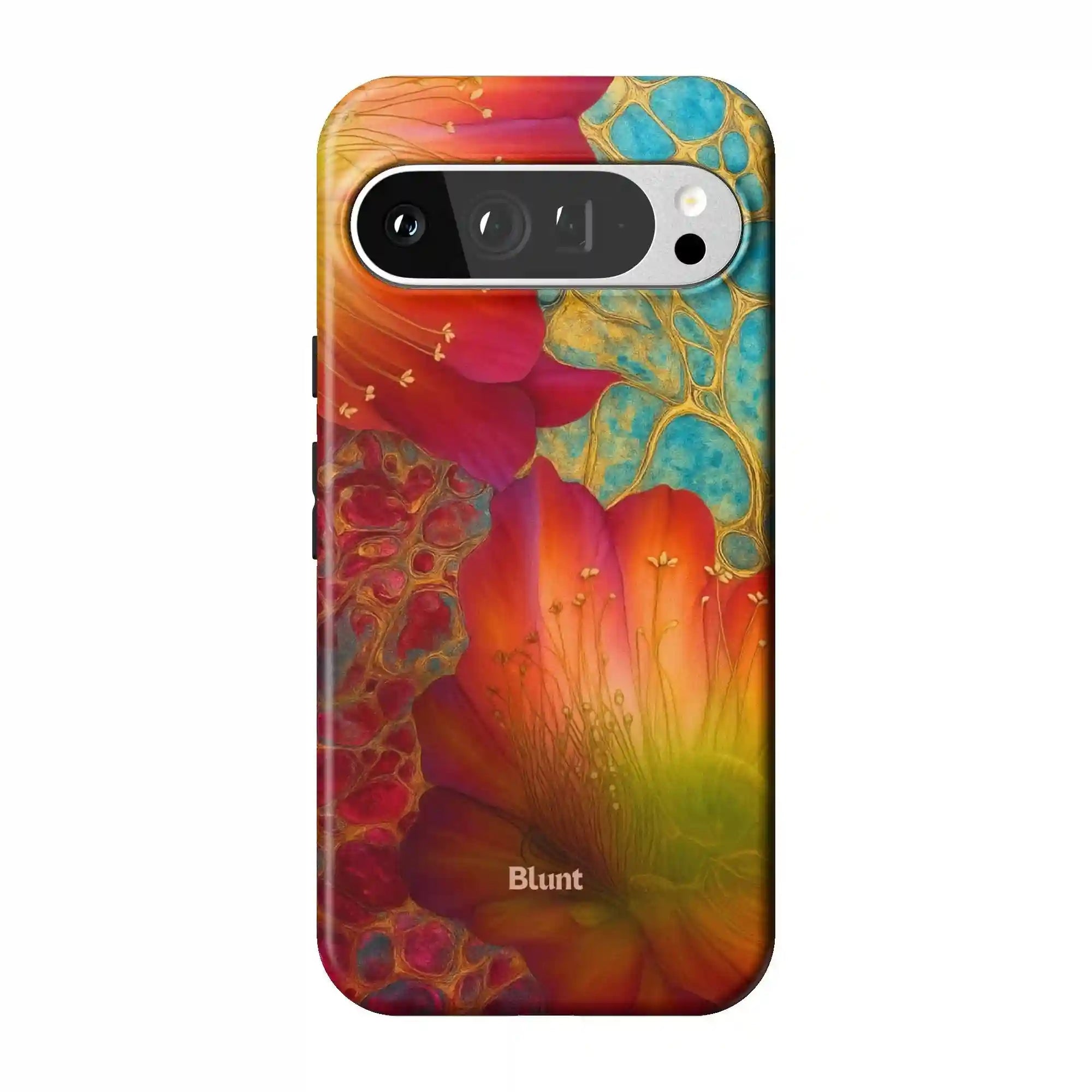 bluntcasesus.it.com