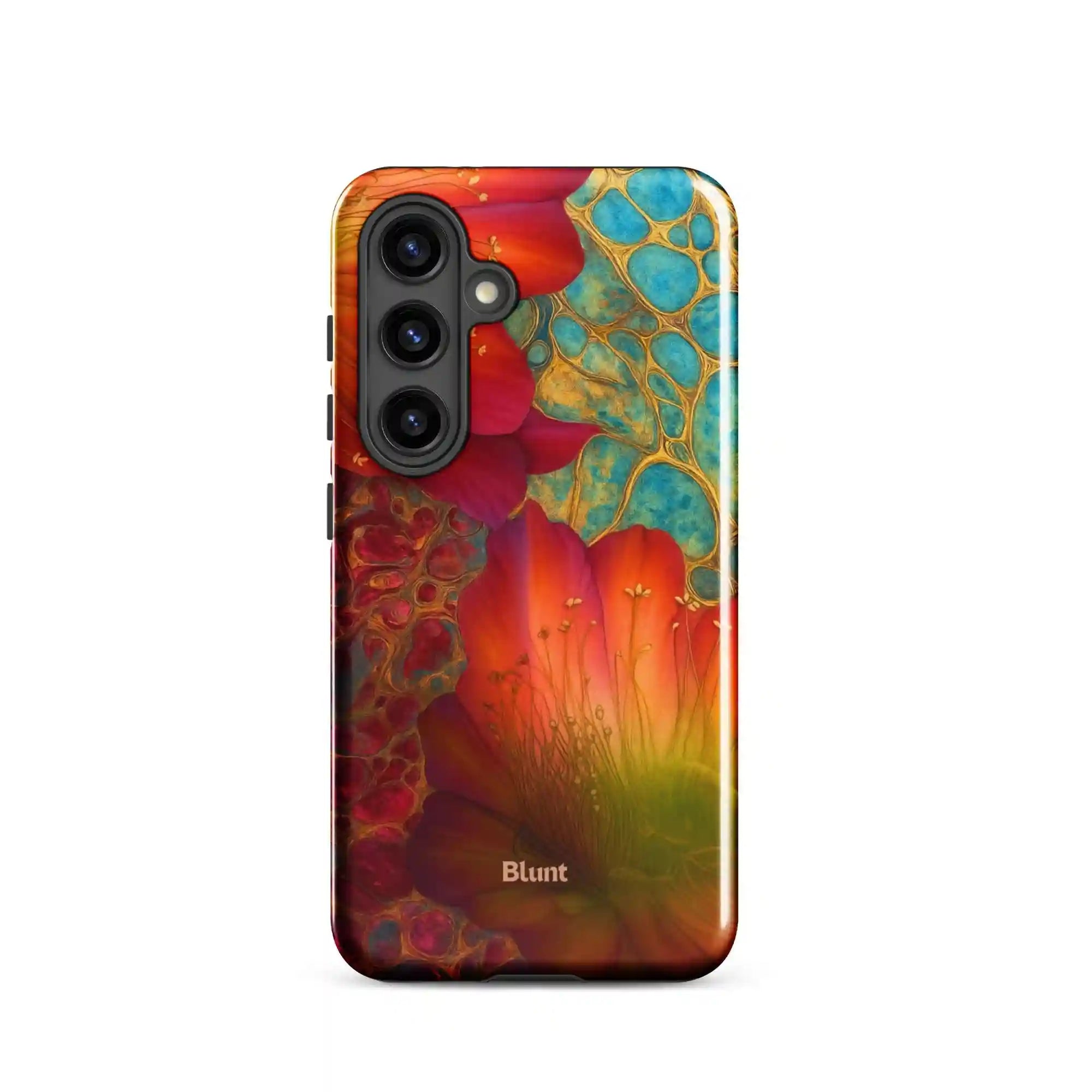 bluntcasesus.it.com