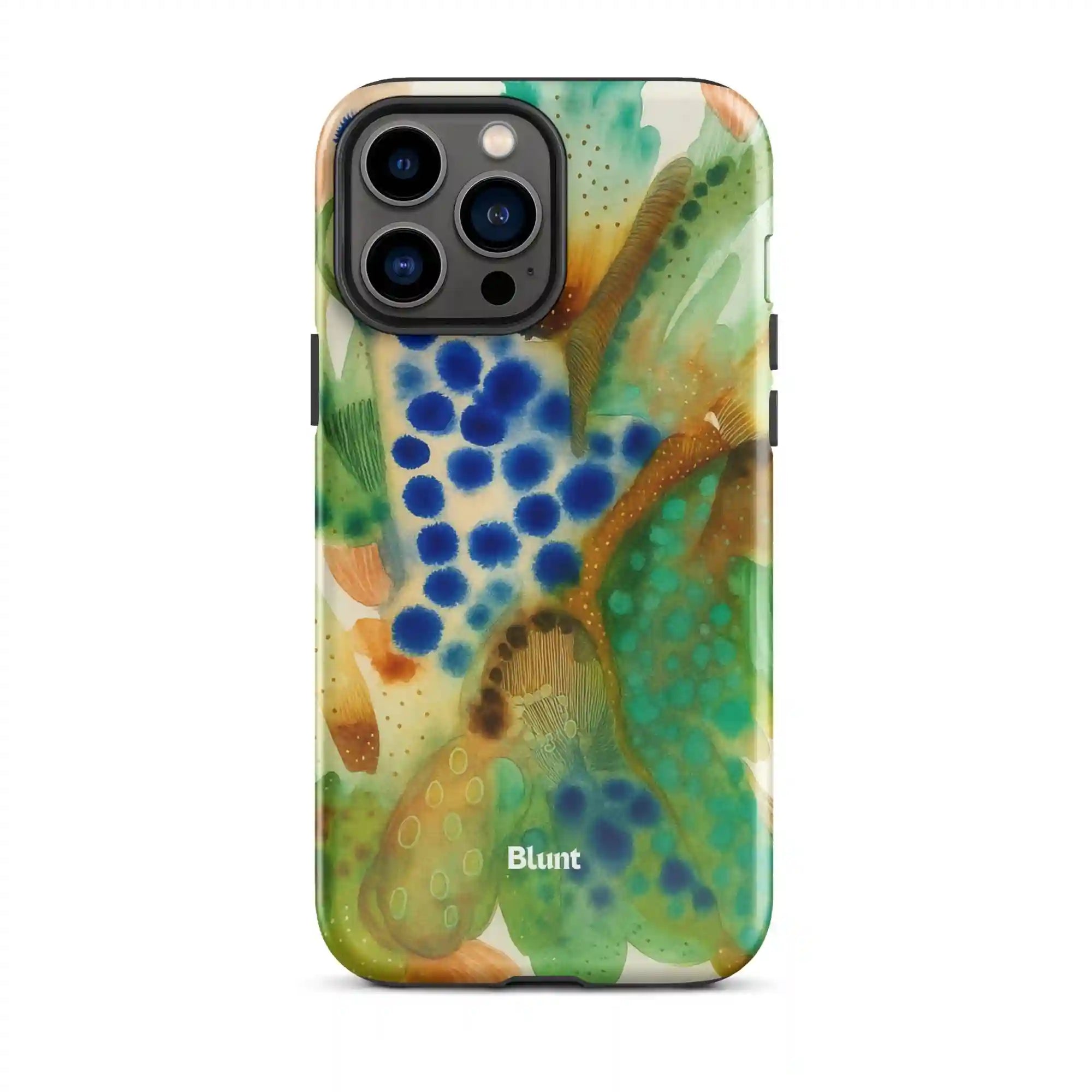 bluntcasesus.it.com
