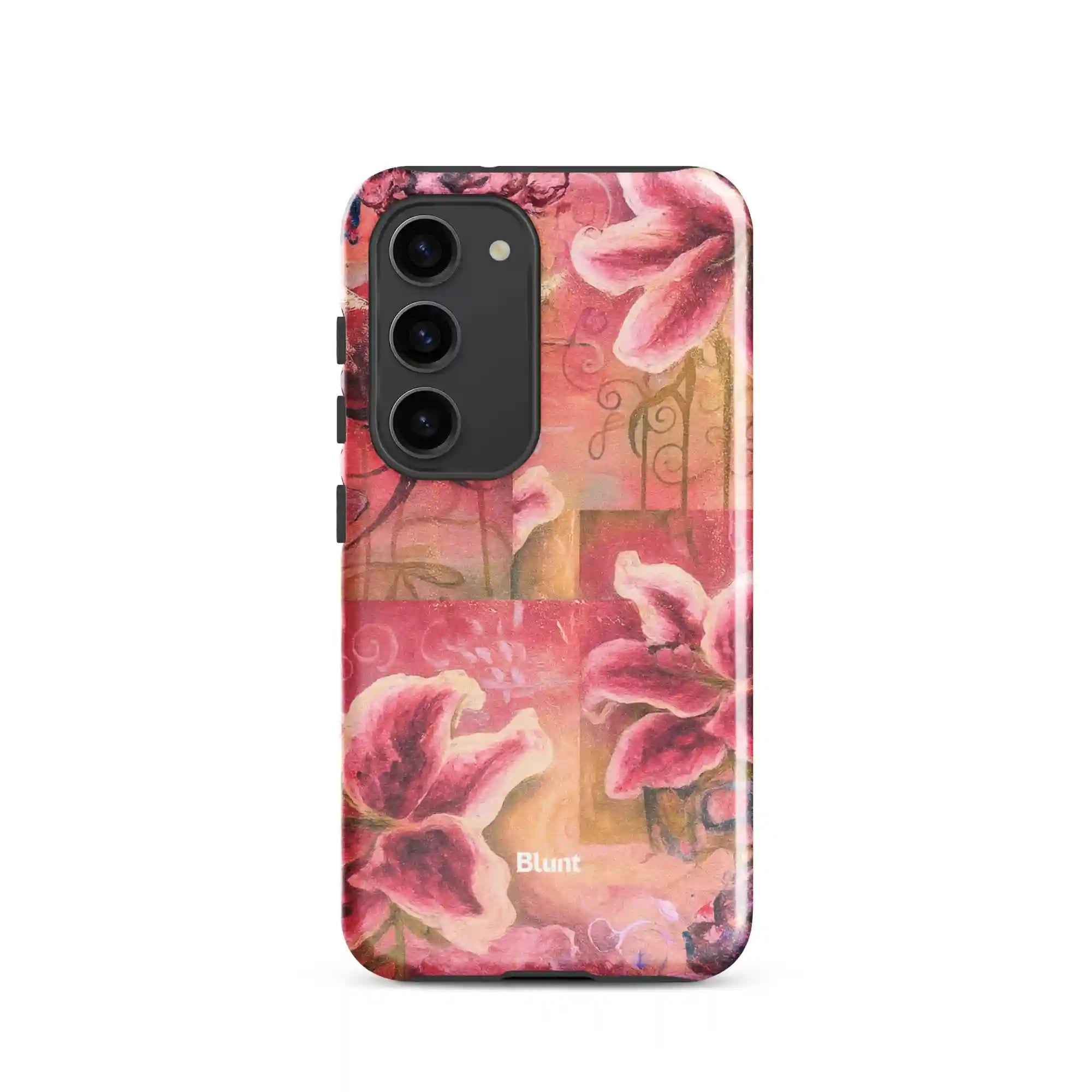 bluntcasesus.it.com