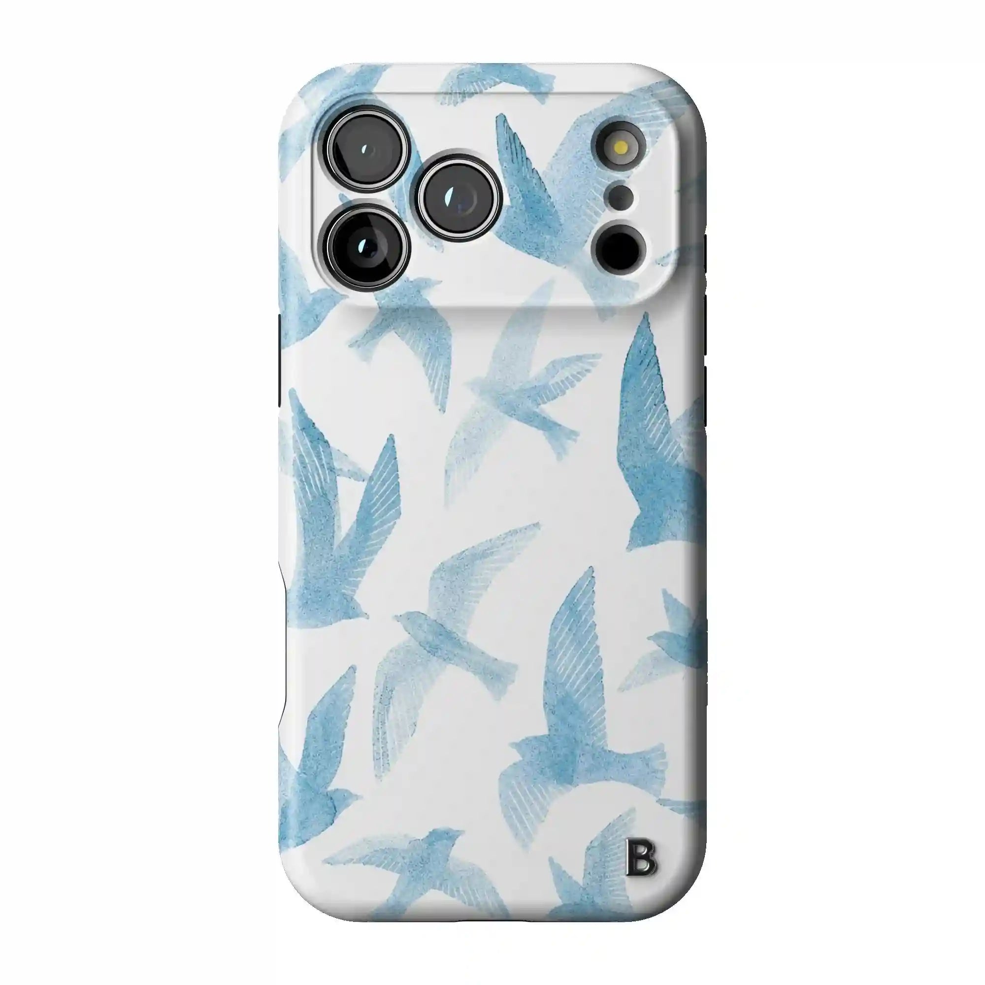 bluntcasesus.it.com