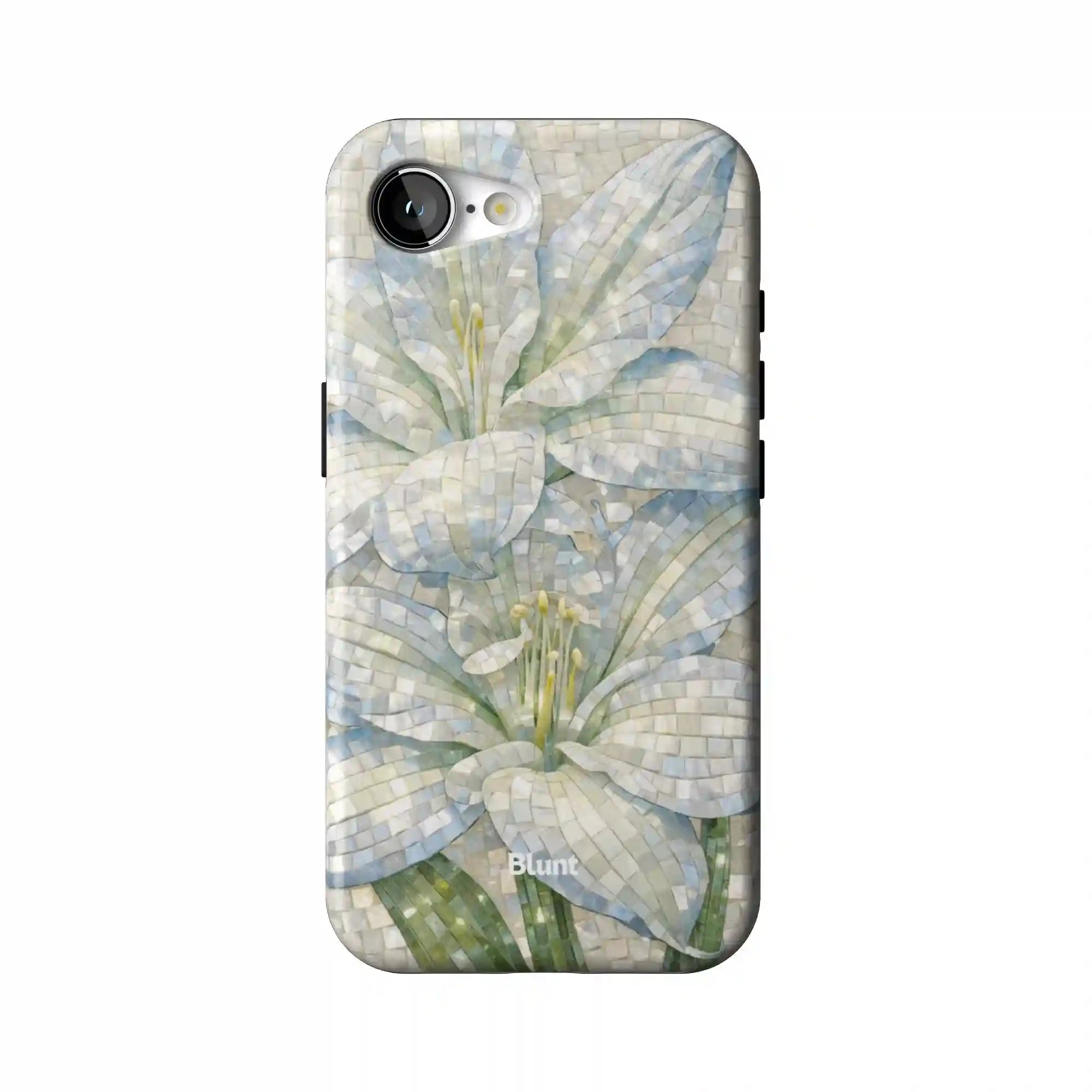 bluntcasesus.it.com