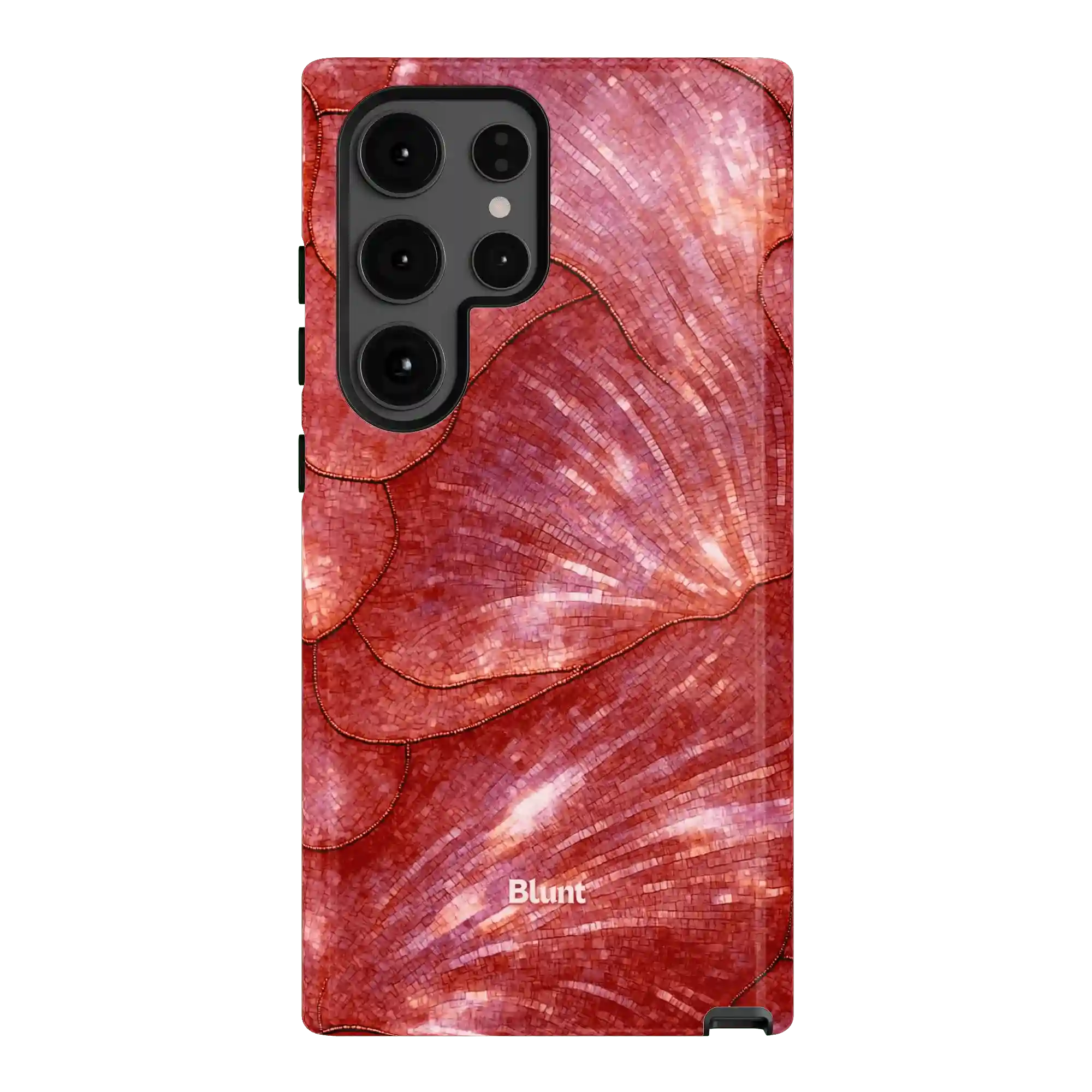 bluntcasesus.it.com