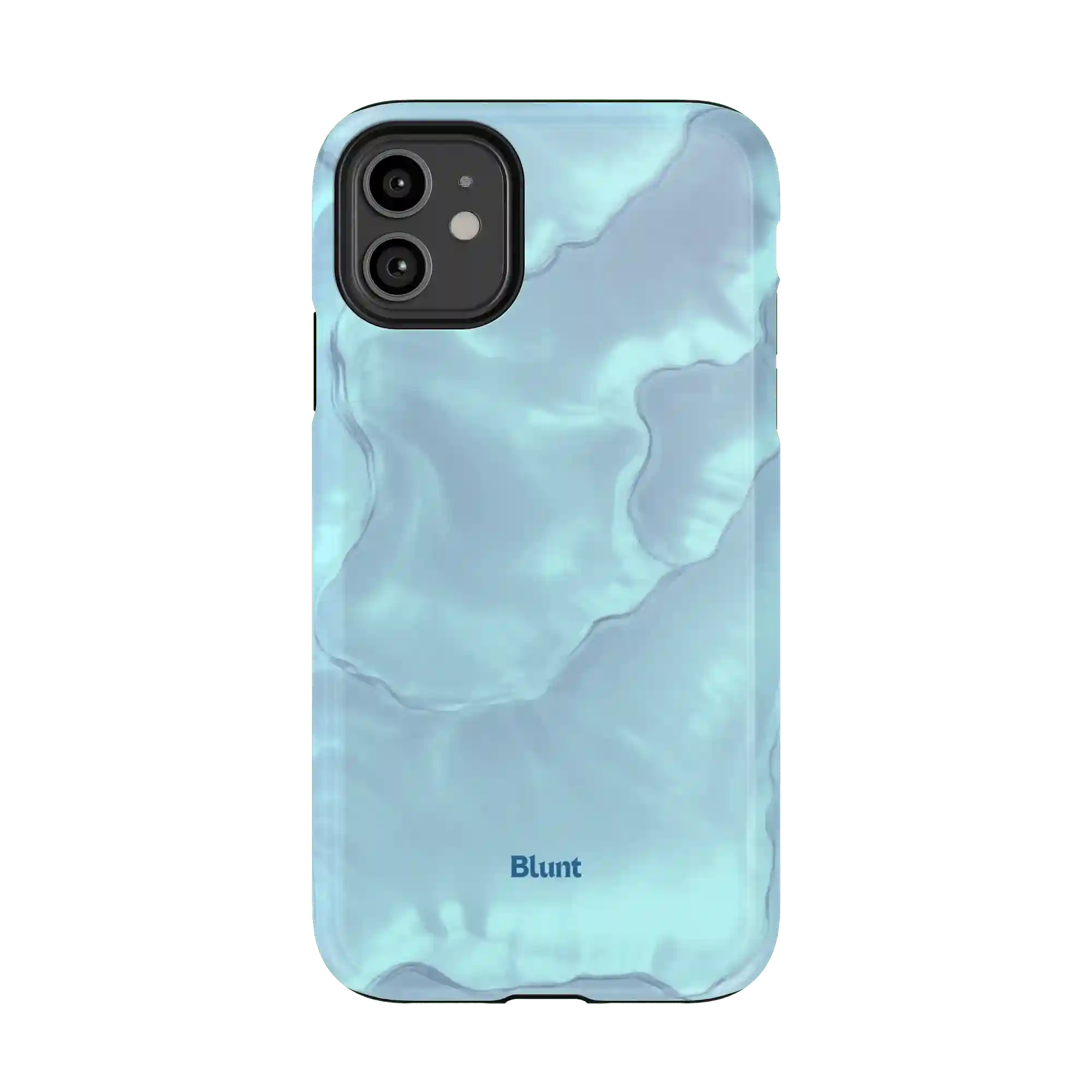 bluntcasesus.it.com